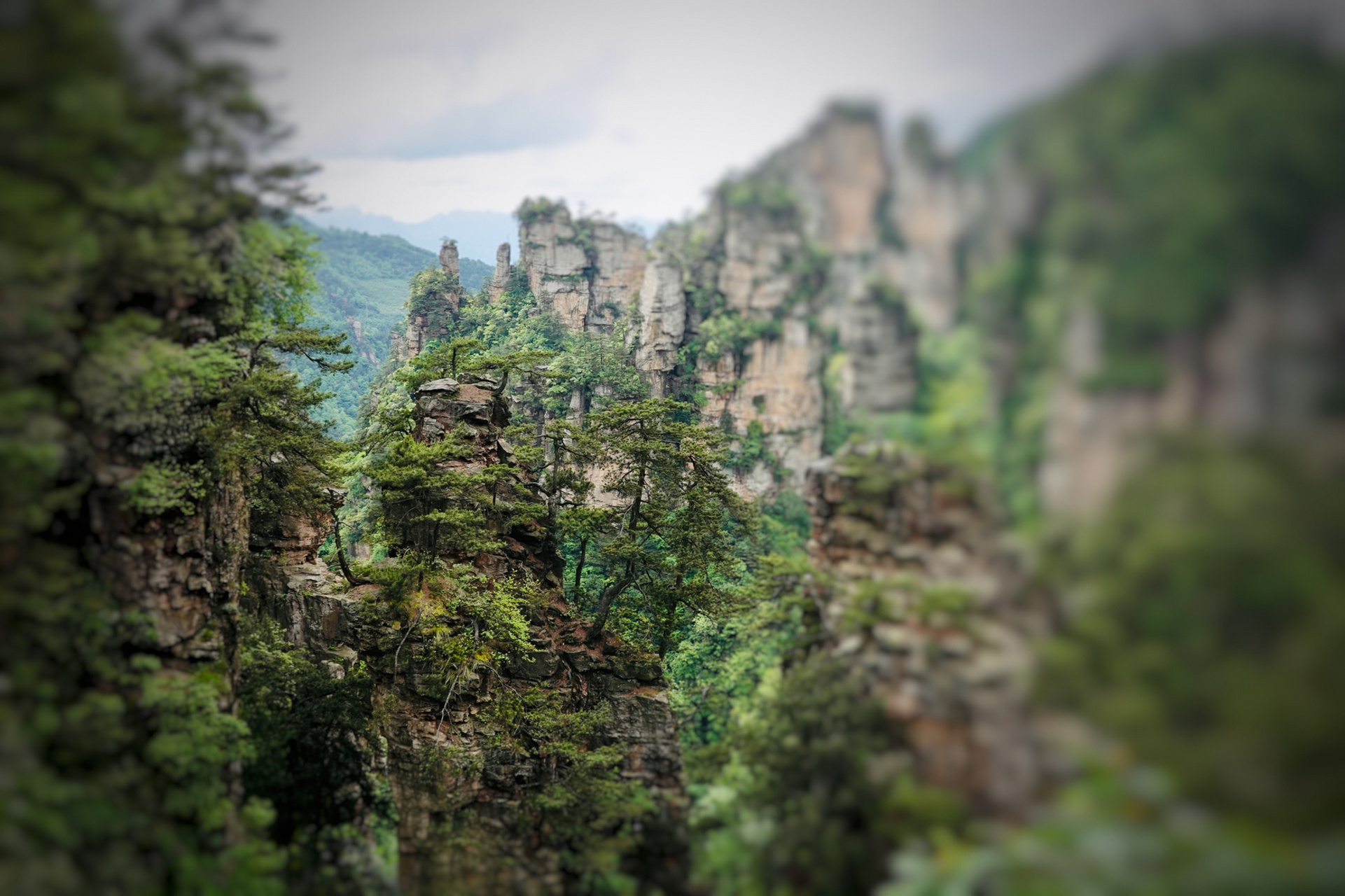 武陵源黄石寨 据介绍,黄石寨是武陵源风景区5条精品游览线之一,有"不