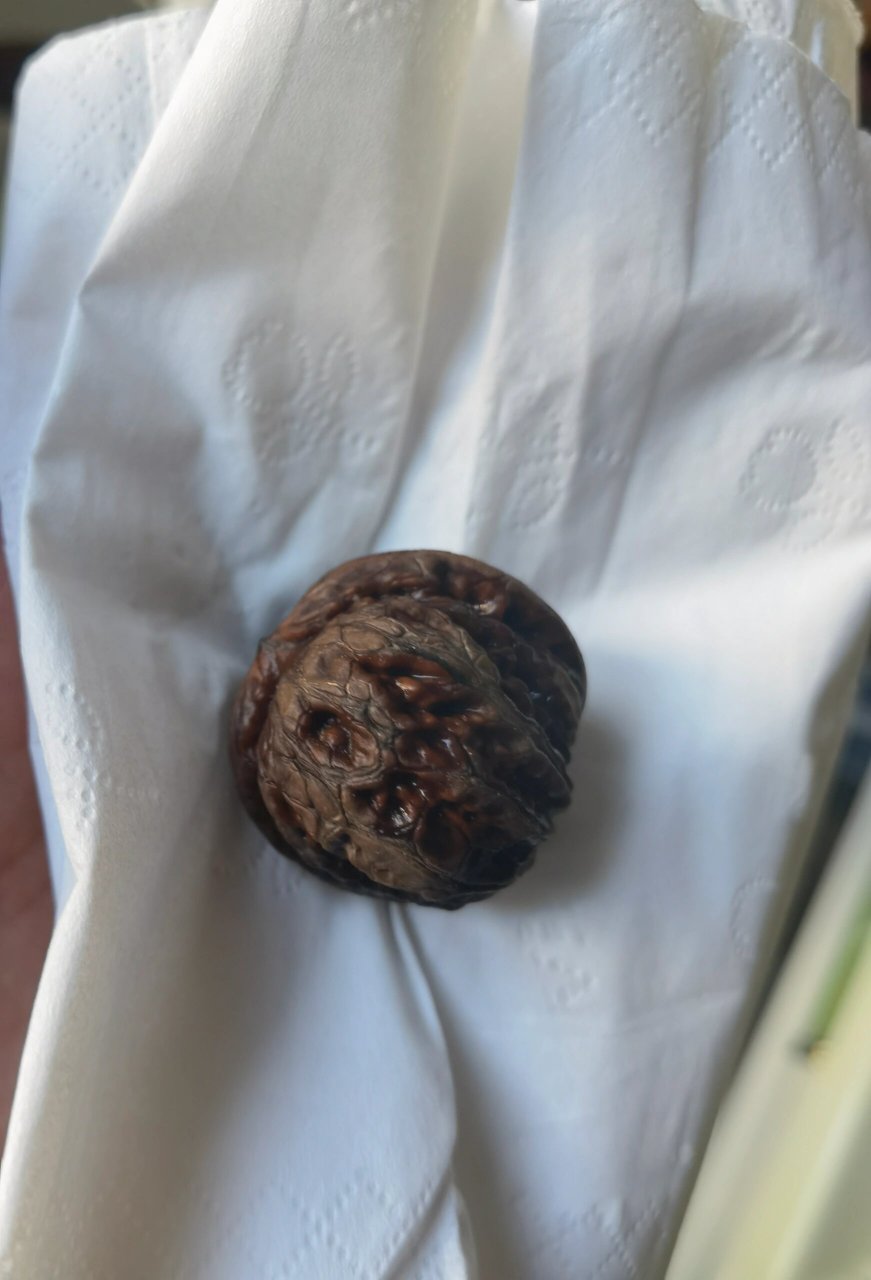 阴皮核桃?  开青皮以后核桃乌黑色,懂的友友指导一下,这是阴皮吗?