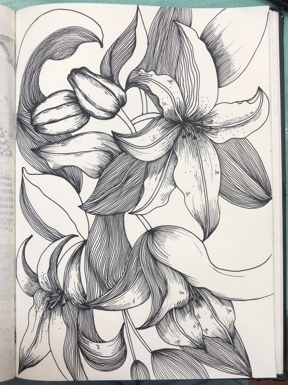 临摹 线描画《百合花》 少儿美术 线描画 线描黑白装饰画 儿童美术