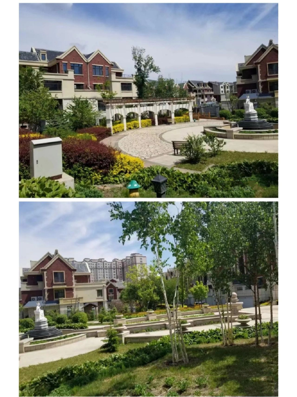 刚才看到一个网友留言问鹤岗别墅,我就问了下我对象.