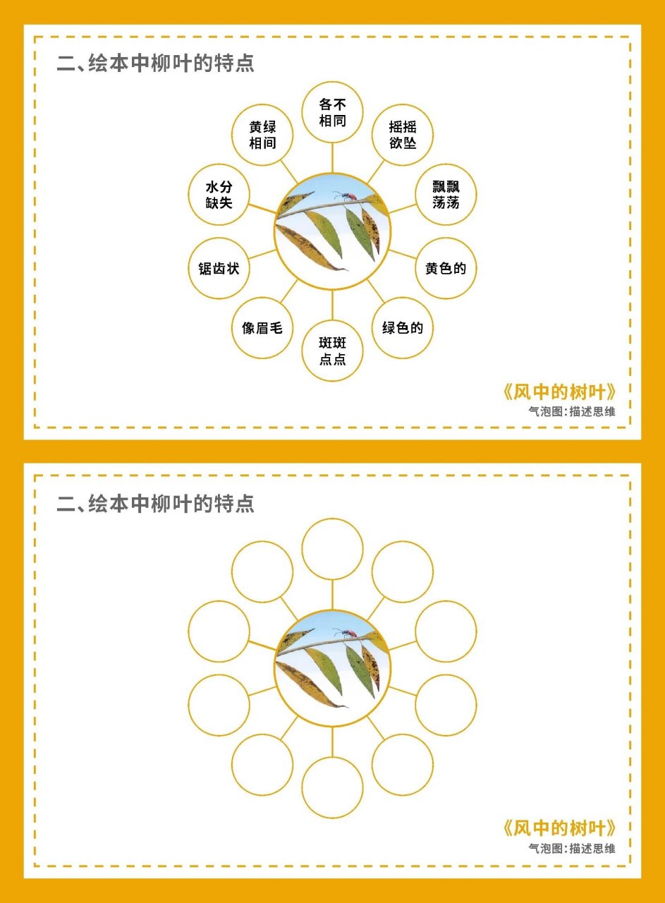 秋风的思维导图图片