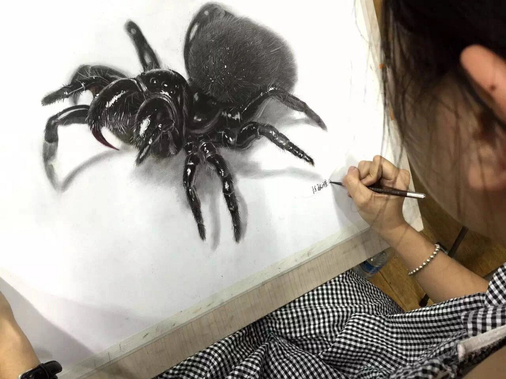 狼蛛精微素描 画室高中同学画的狼蛛
