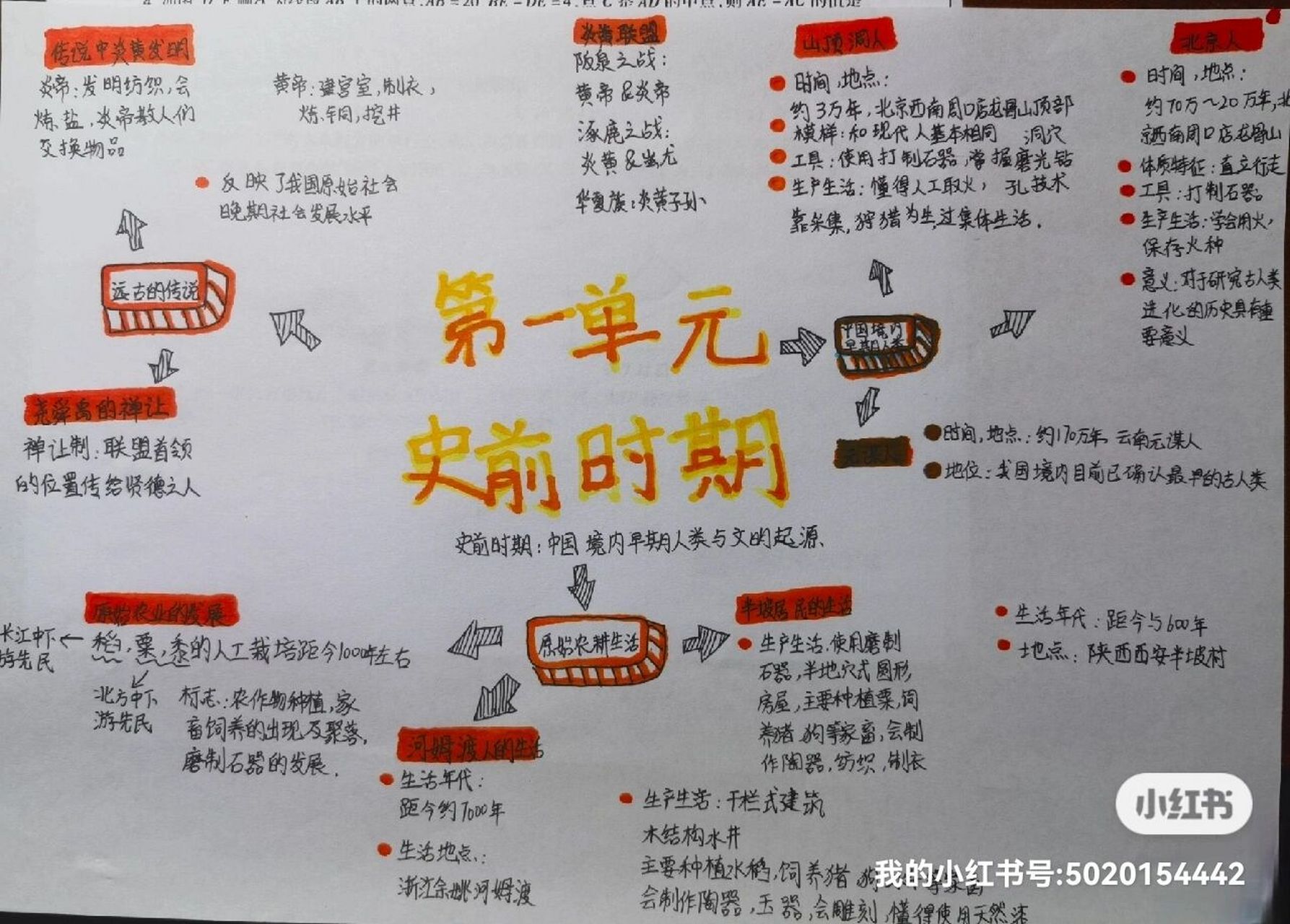七上历史一,二,三单元思维导图