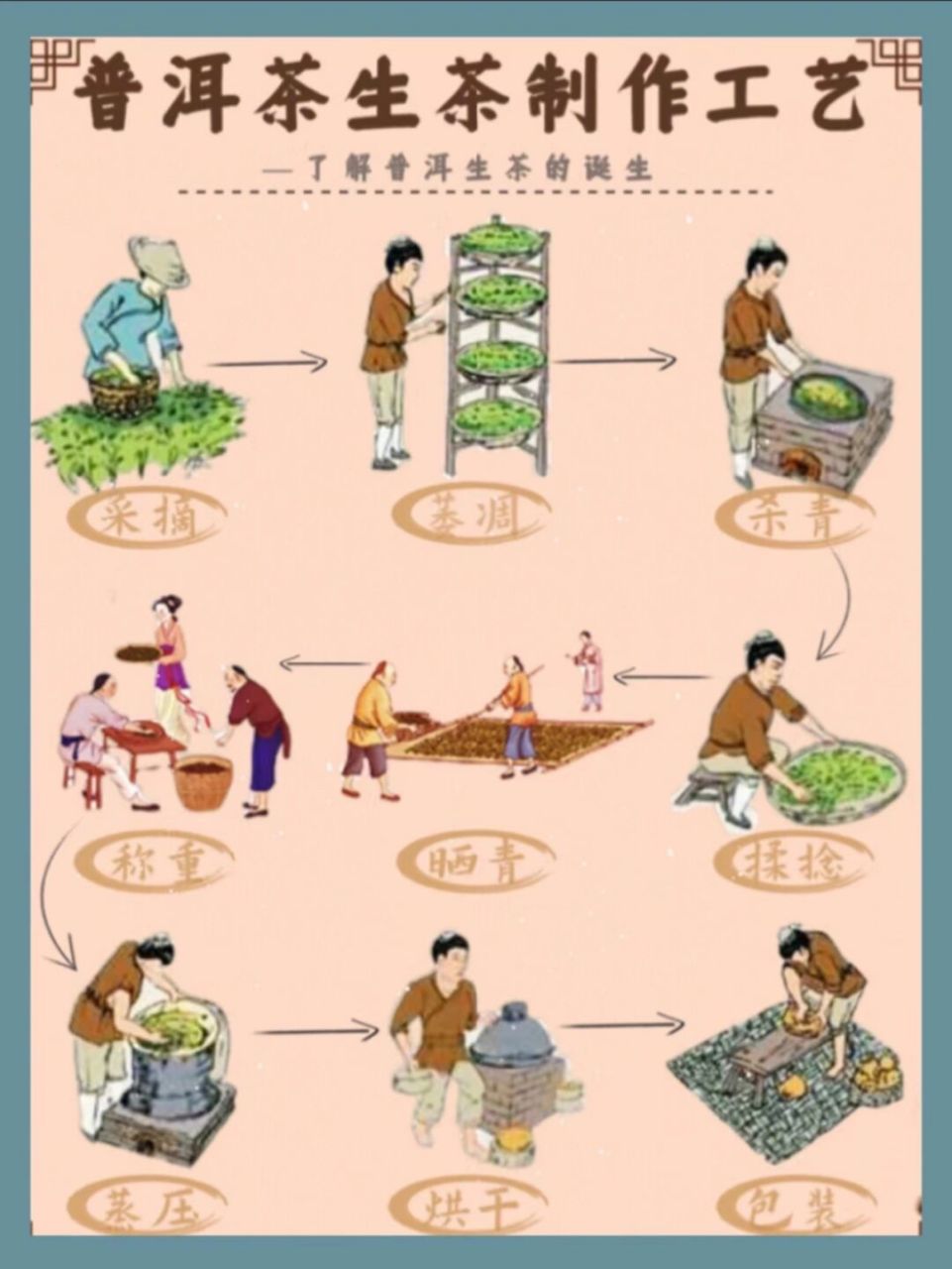 茶友必看👀普洱生茶制作工艺❗️❗️❗️ hi,我是茶人