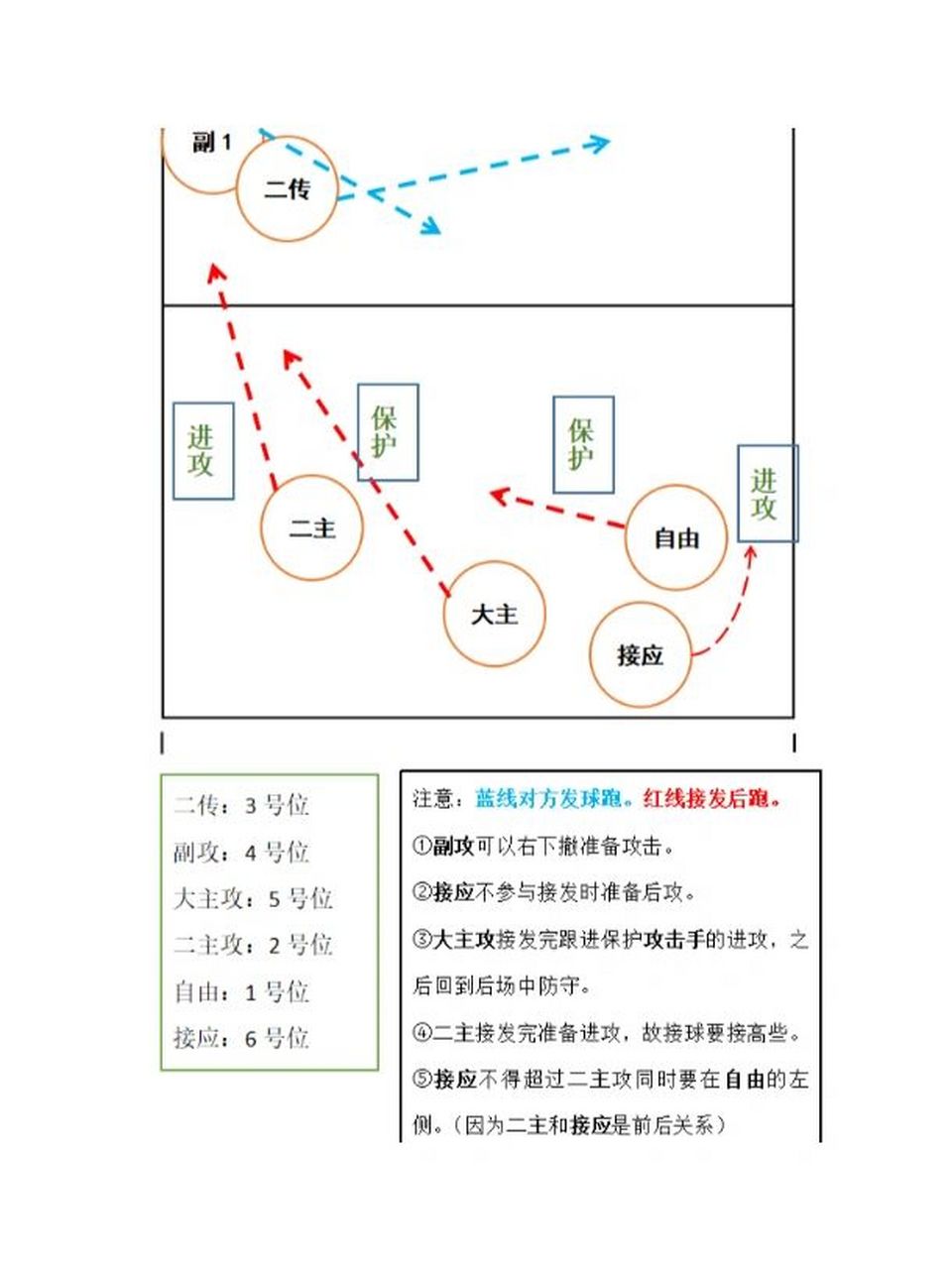 排球场地平面图及站位图片