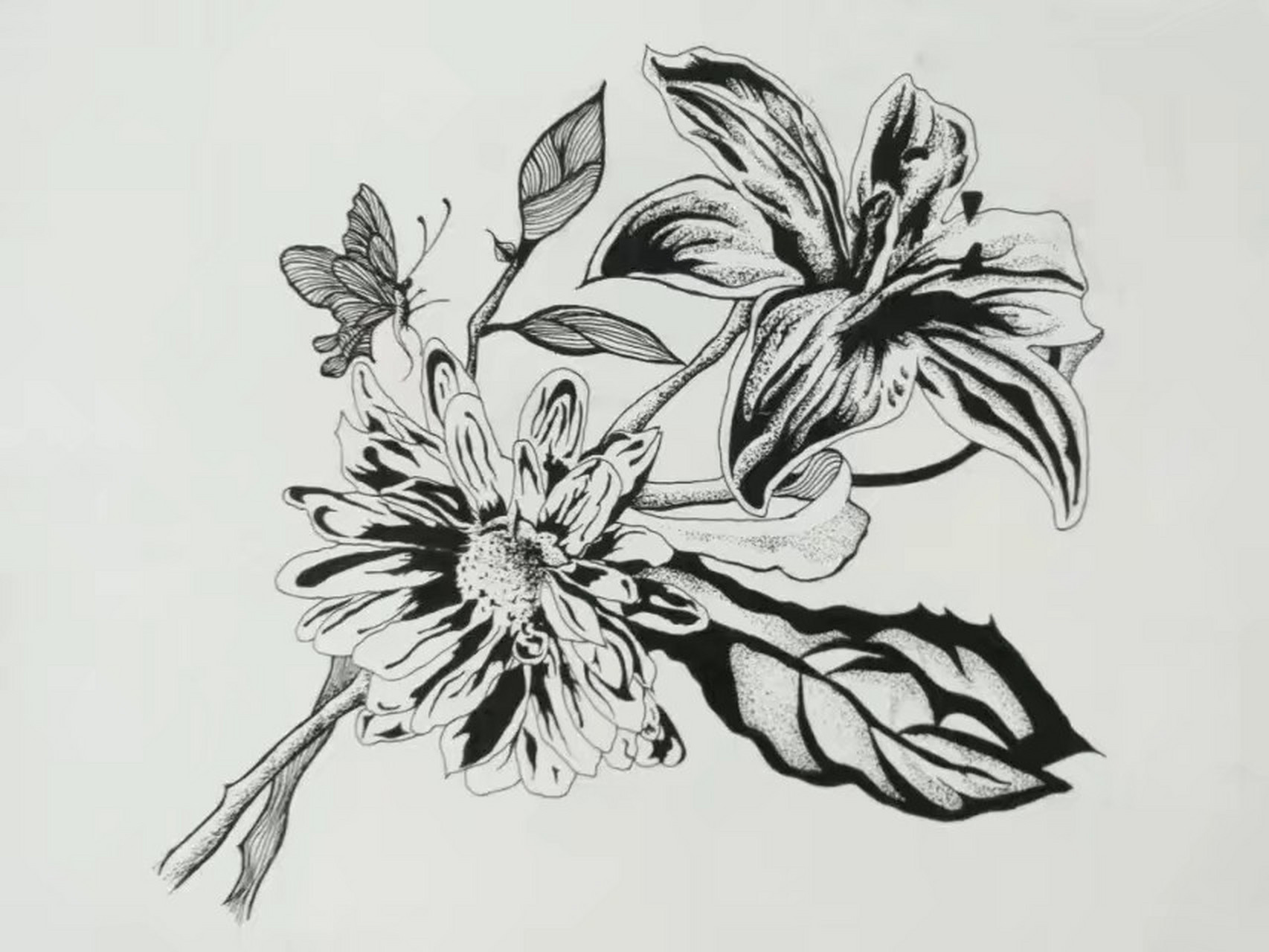线描花卉 黑白线描#儿童画#黑白装饰画#线描花卉 #线描