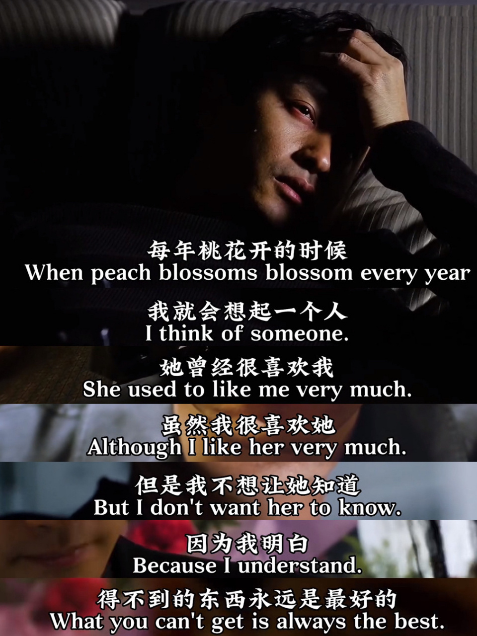 电影《东邪西毒》|"得不到的永远是最好的" 每年桃花开的时候 我就会