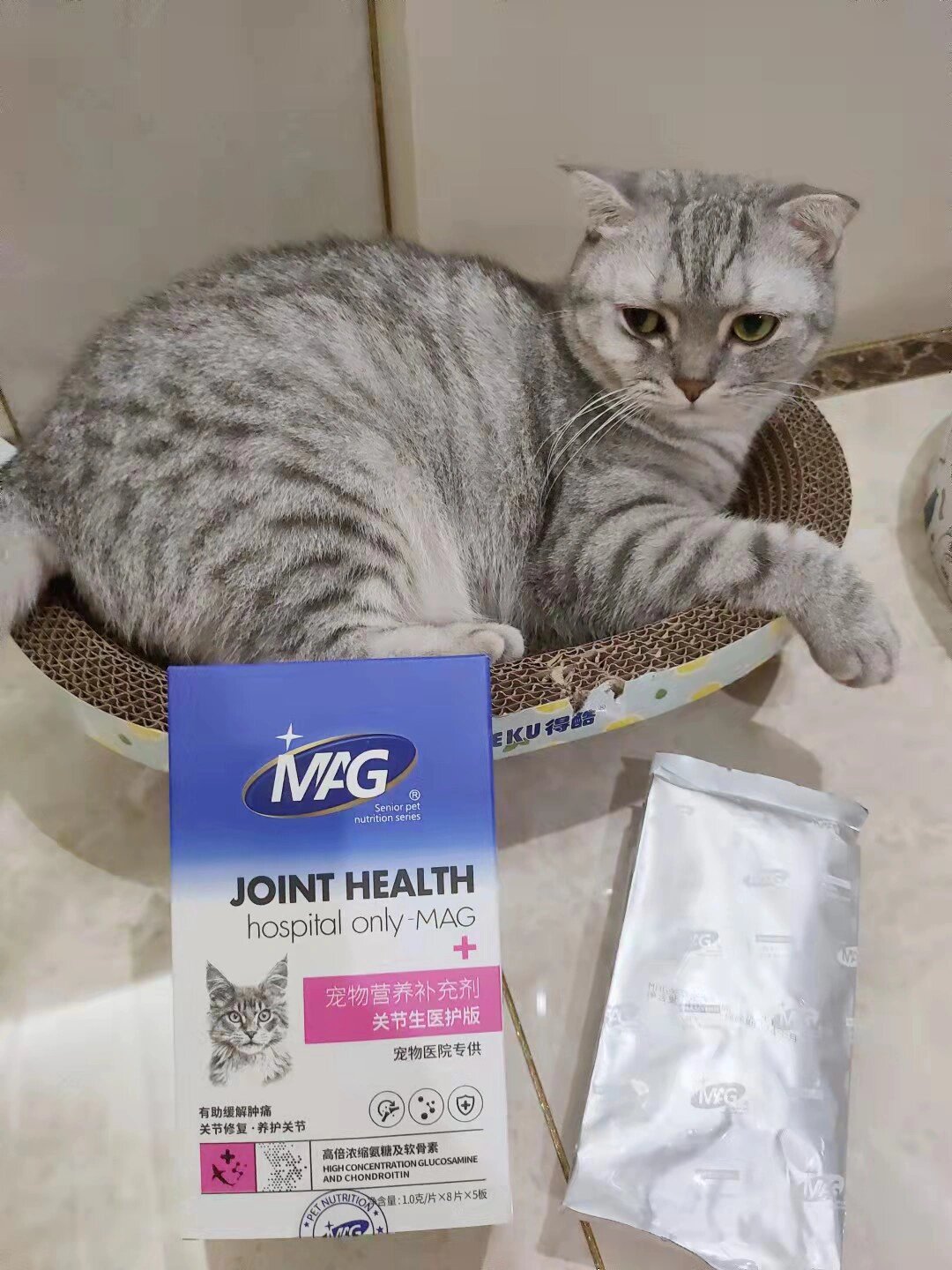 对于猫咪的异常,需要日常注意哦.