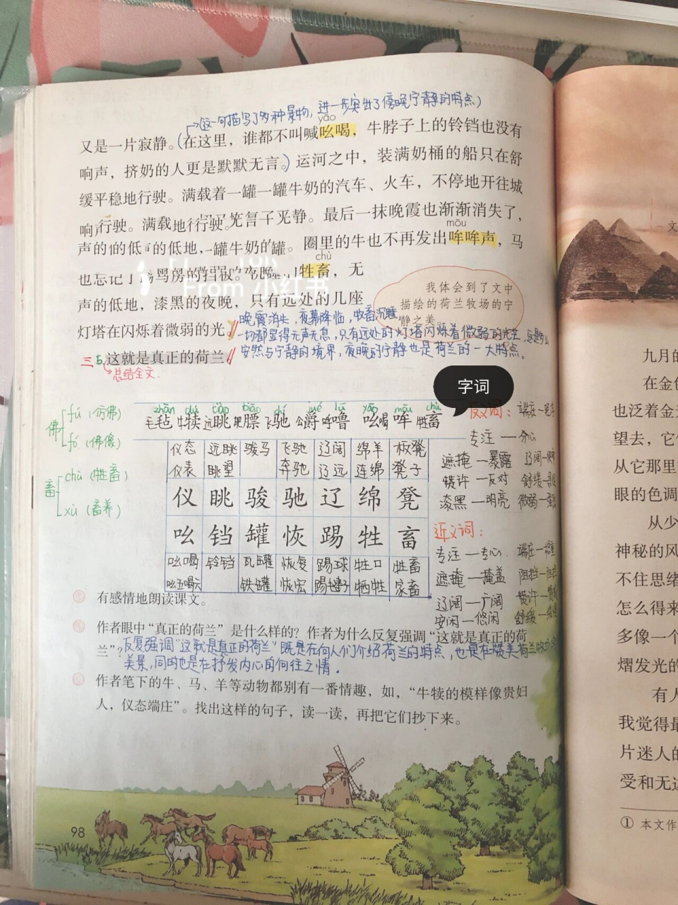 五下语文19-牧场之国 预习笔记 详细笔记