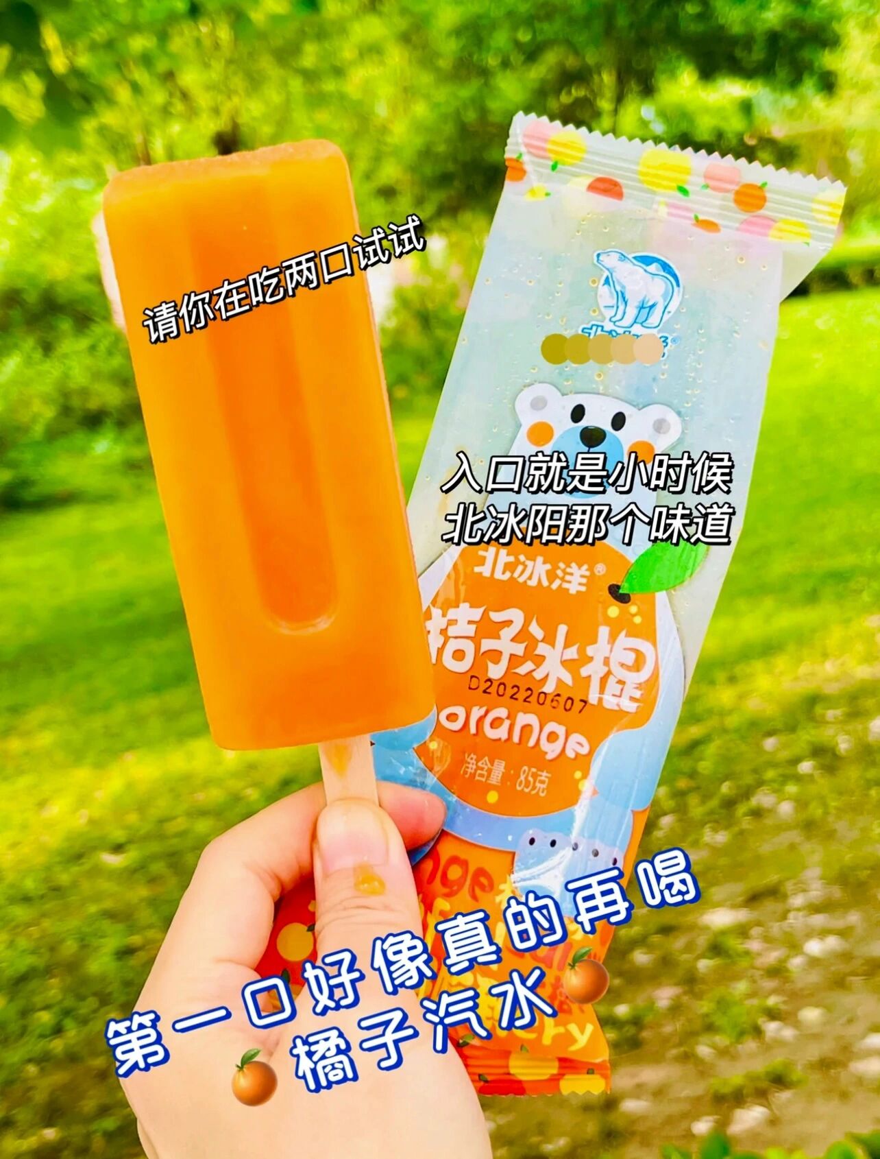 北冰洋大桔子冰棍儿92 不知道你们有没有喝过北冰洋的汽水04 这个