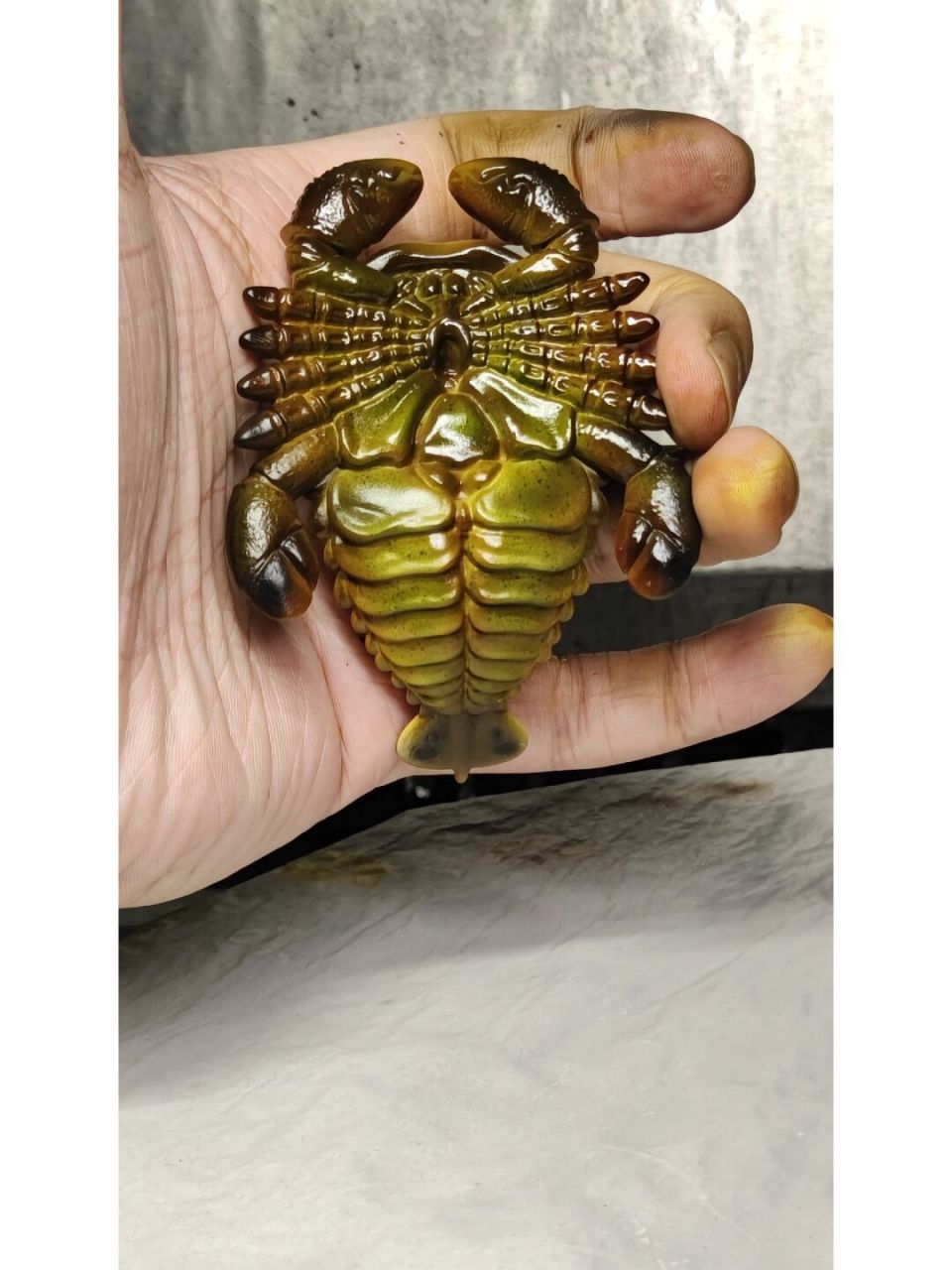 板足鲎你认识吗? 很古老很古老的生物,你知道这种生物吗? 这是个潮玩.