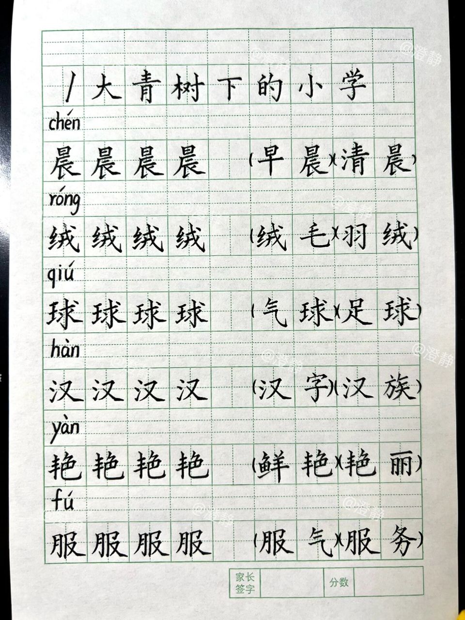 大青树上的小学生字词图片