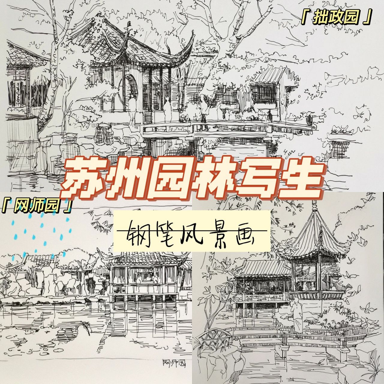 苏州园林 拙政园网师园钢笔画写生 苏州园林的美需要静下心来感受,太
