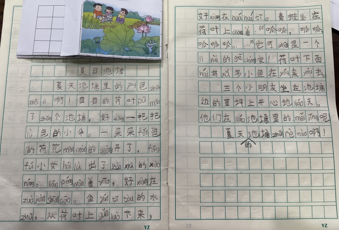 一年级 看图写话 夏日池塘