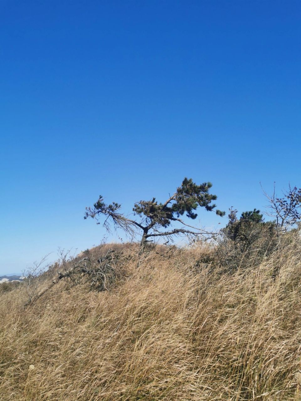 大连徒步爬山|四大望山环线 四大望山位于大连西郊王家店水库与亿达春
