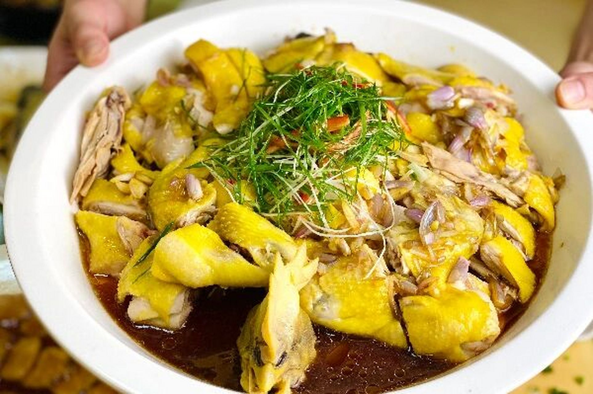 9990 和意滋味馆 粤菜 3～4人餐 新店开业 【番禺市桥新店开业|和意
