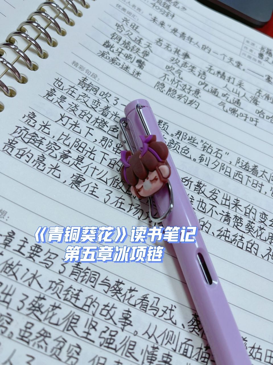 《青铜葵花》读书笔记第六章冰项链 欢迎大家给我留言,我们互相学习