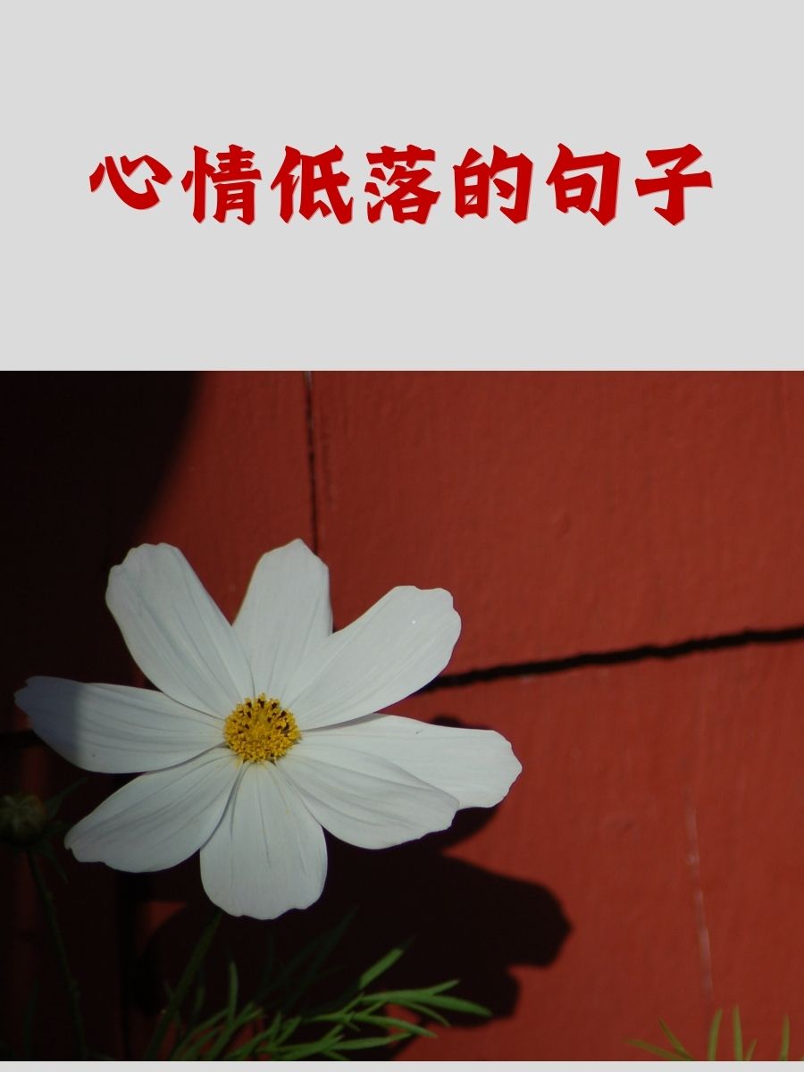 笑容背后,隐藏着无尽的忧伤