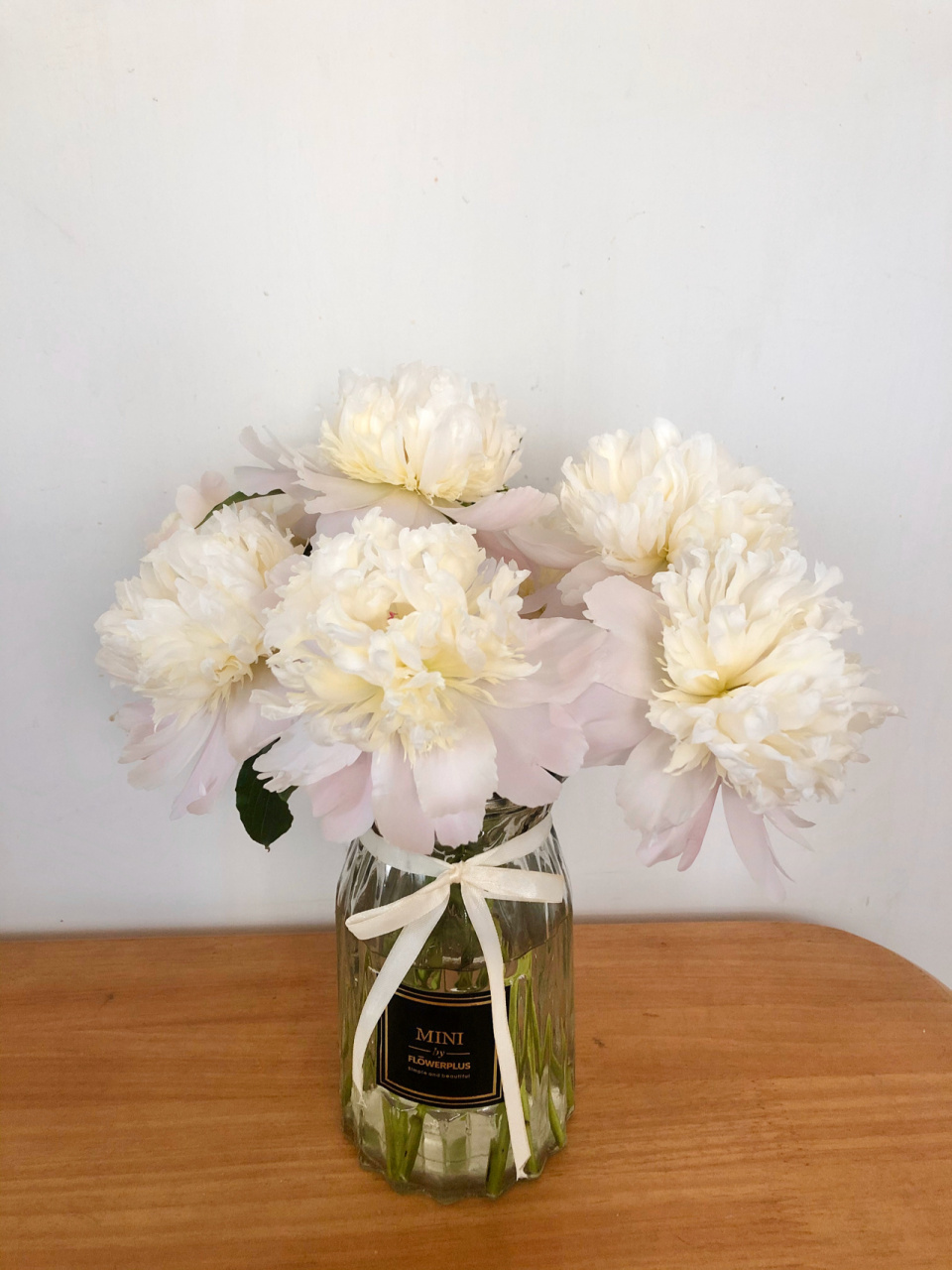 史上最详细啰嗦的铁蛋开花重瓣芍药养护教程 盒马做活动花19元买了10