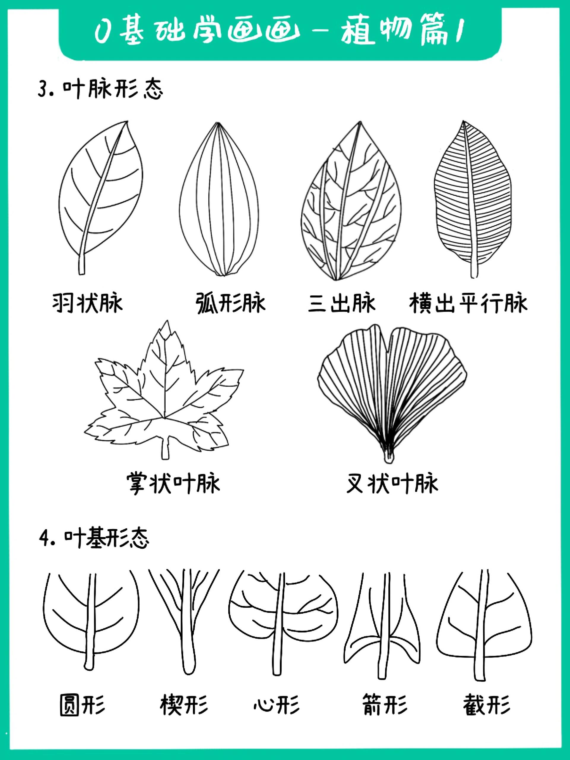 0基础学画画