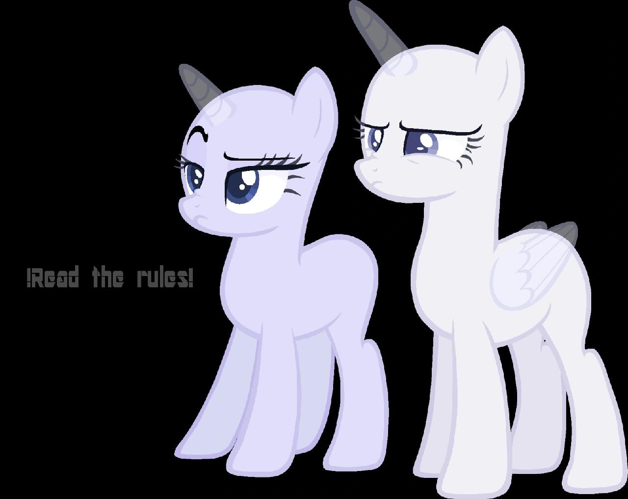 分享一些小马模板(6)