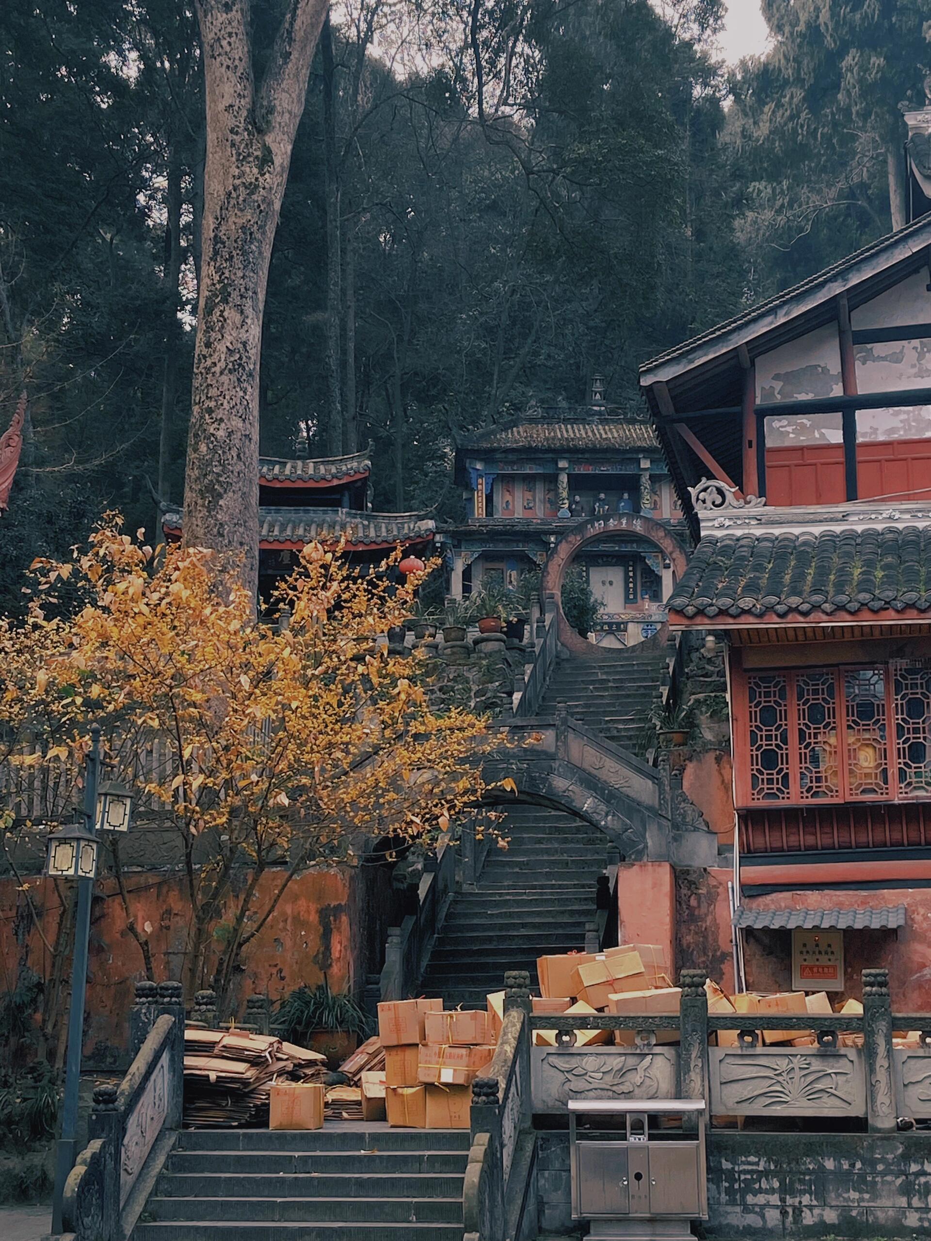 新的一年都去拜普照寺 据说是成都zui灵验寺庙 很多明星都来打卡的