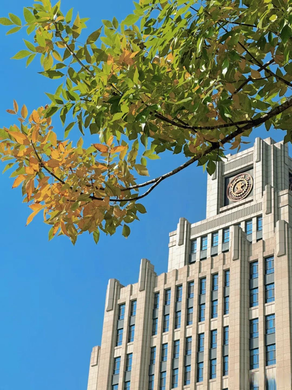 恭喜西安交通大学进入全球百强,来欣赏一下交大的校园美景!