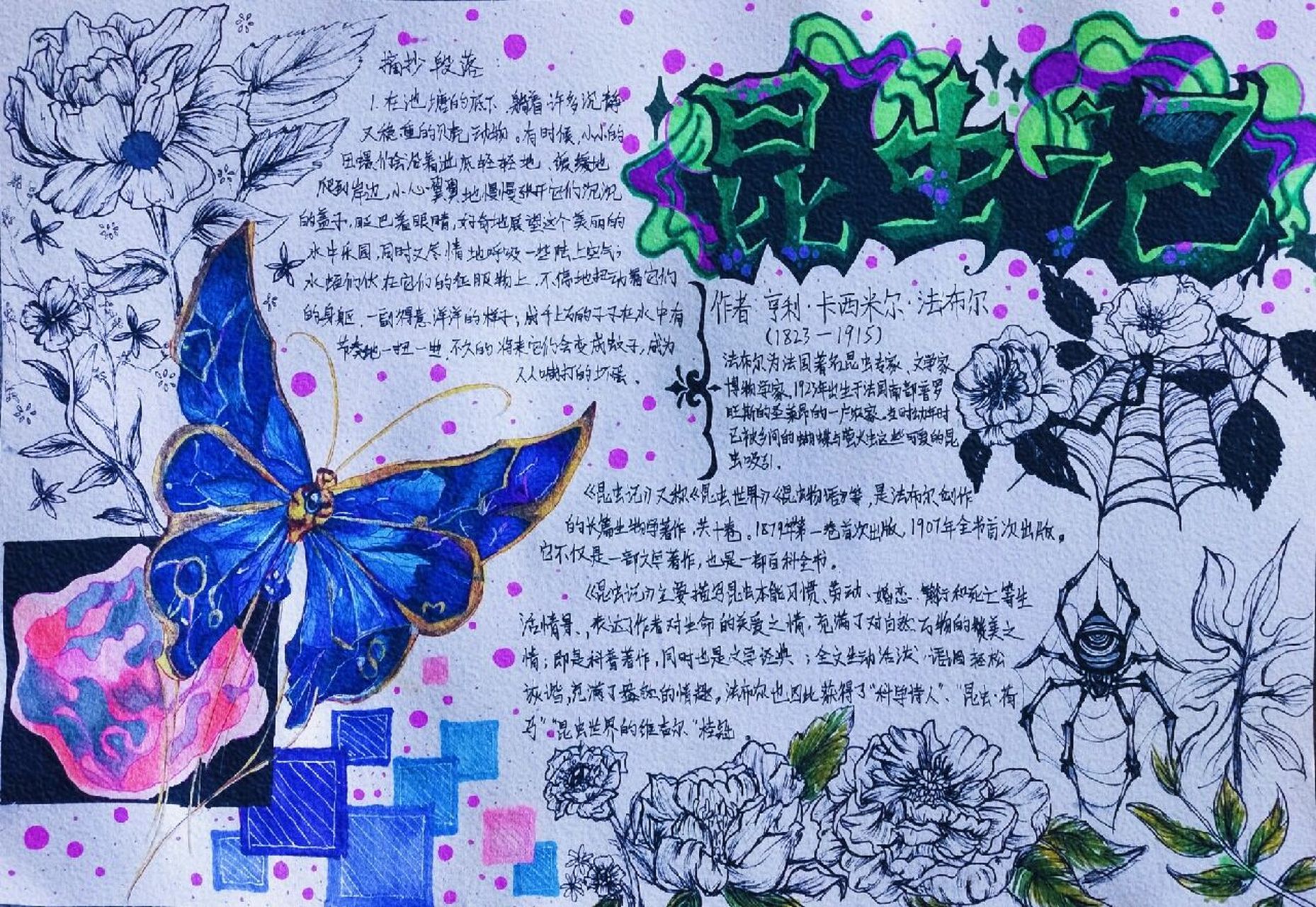 《昆虫记》手抄报  这应该是我画得最认真的一张手抄报了吧