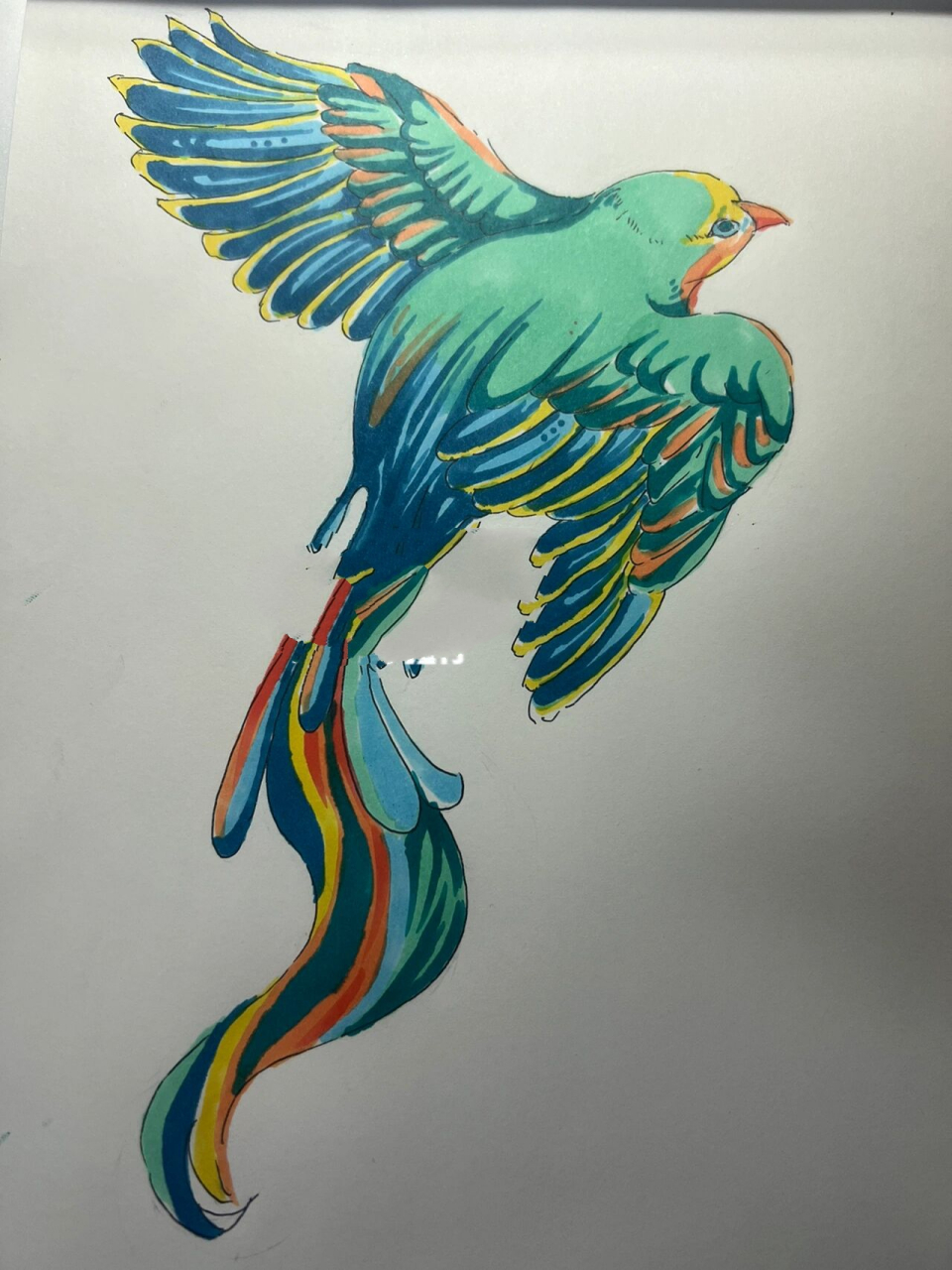 万能手绘元素之鸟类马克笔上色 附绘画过程 在视觉传达考研手绘中