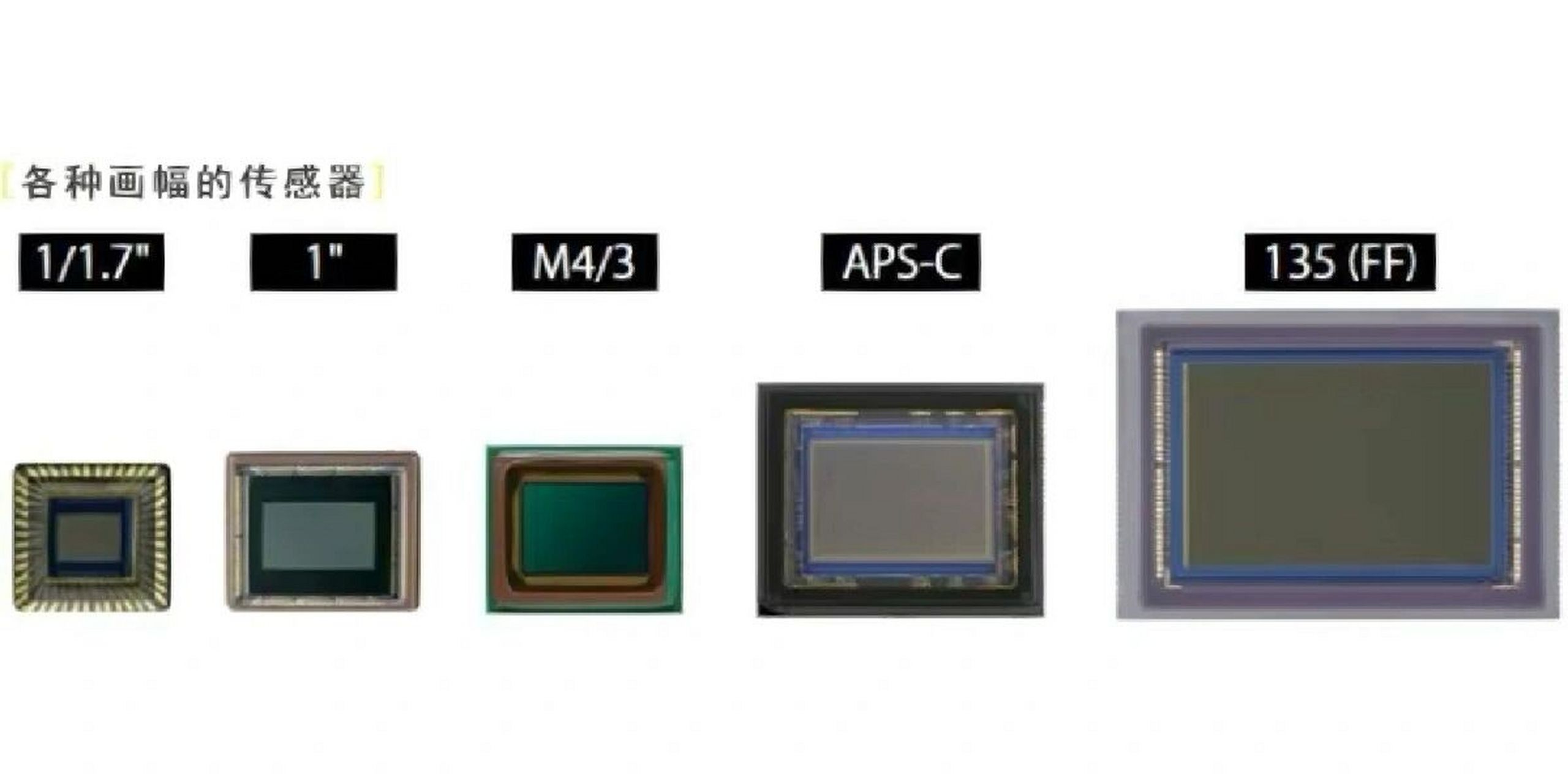 很多朋友经常会问中画幅和全画幅区别是什么?