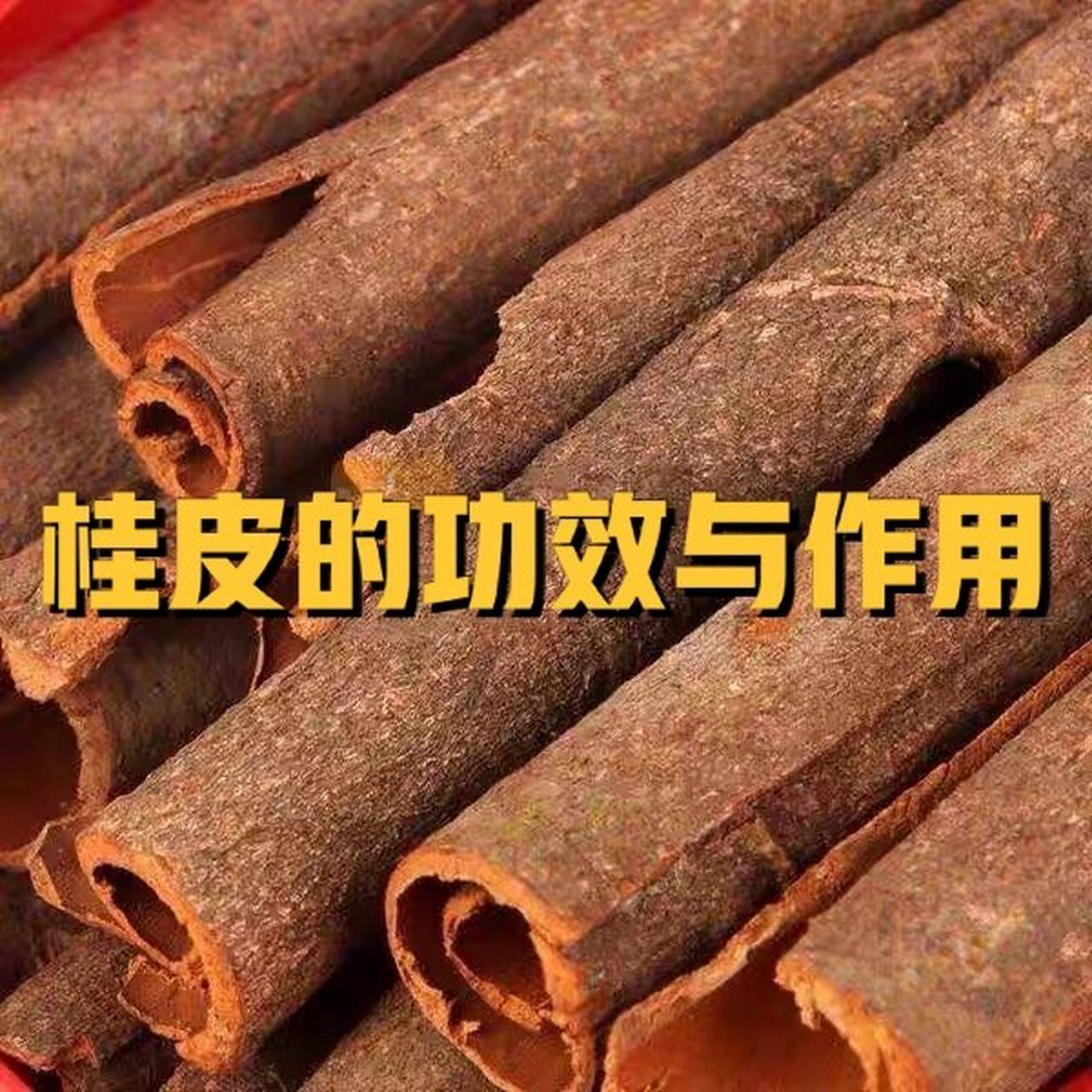 桂皮为常用中药,又为食品香料或烹饪调料,中餐里用它给炖肉调味,是