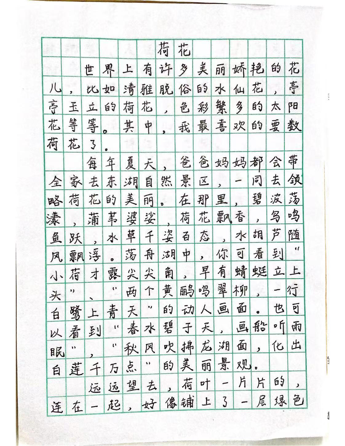 观察一种植物写作文400字(观察一种植物作文500字作文)