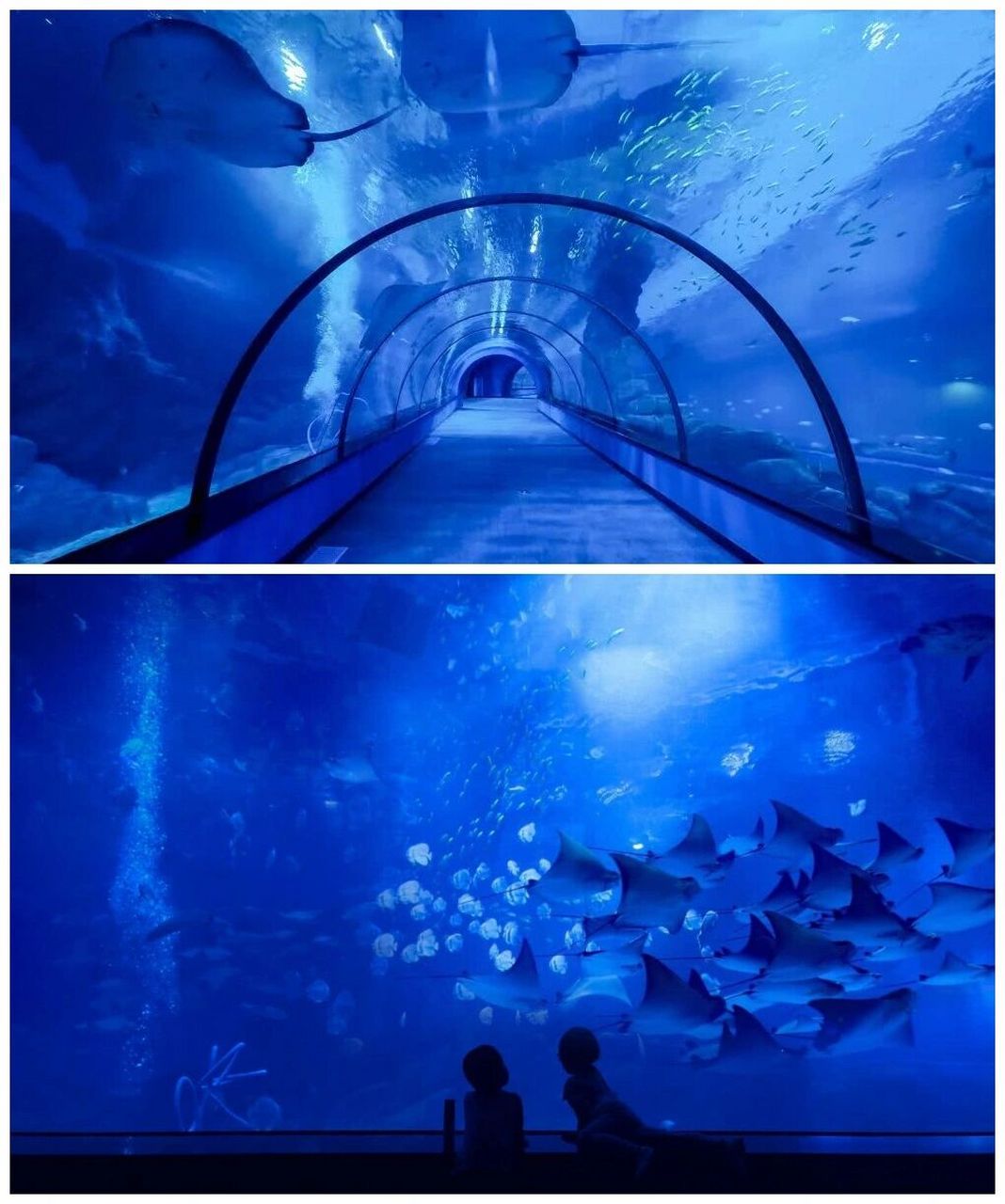 [庆祝]隐藏在素有"厦门后花园"之称的长泰胜境—天柱山欢乐大世界