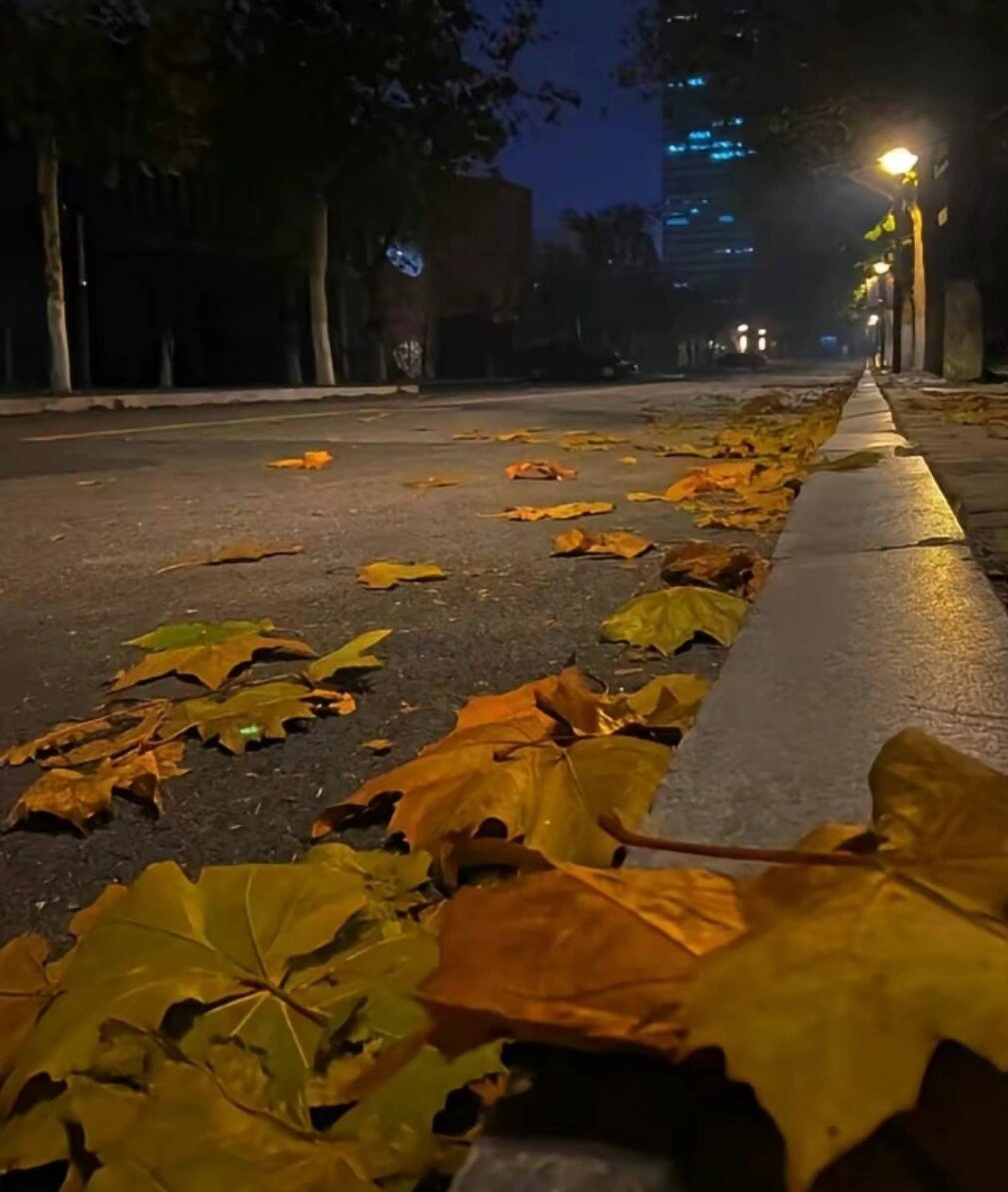 秋天的落叶像默默飘落的忧伤,将大地装点成一幅忧郁的