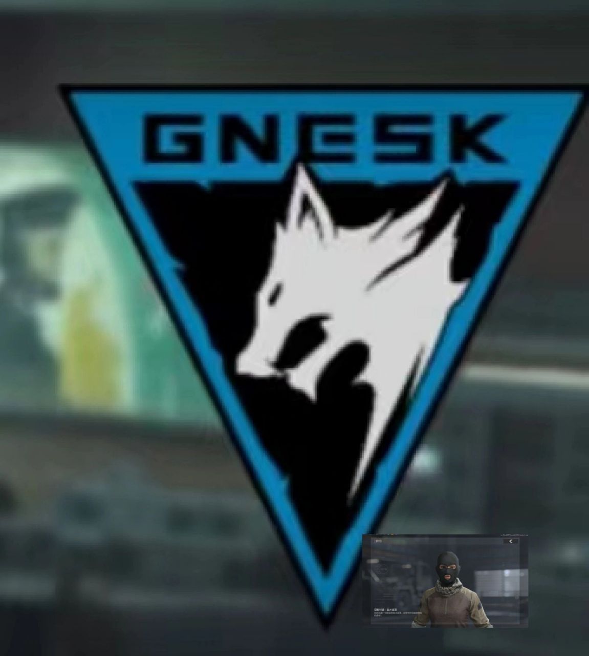 本人已加入白狼连队