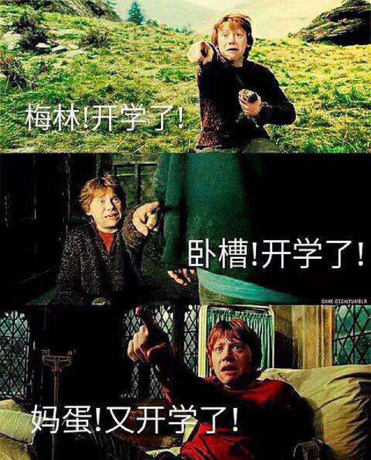 哈利波特搞笑图片第六弹