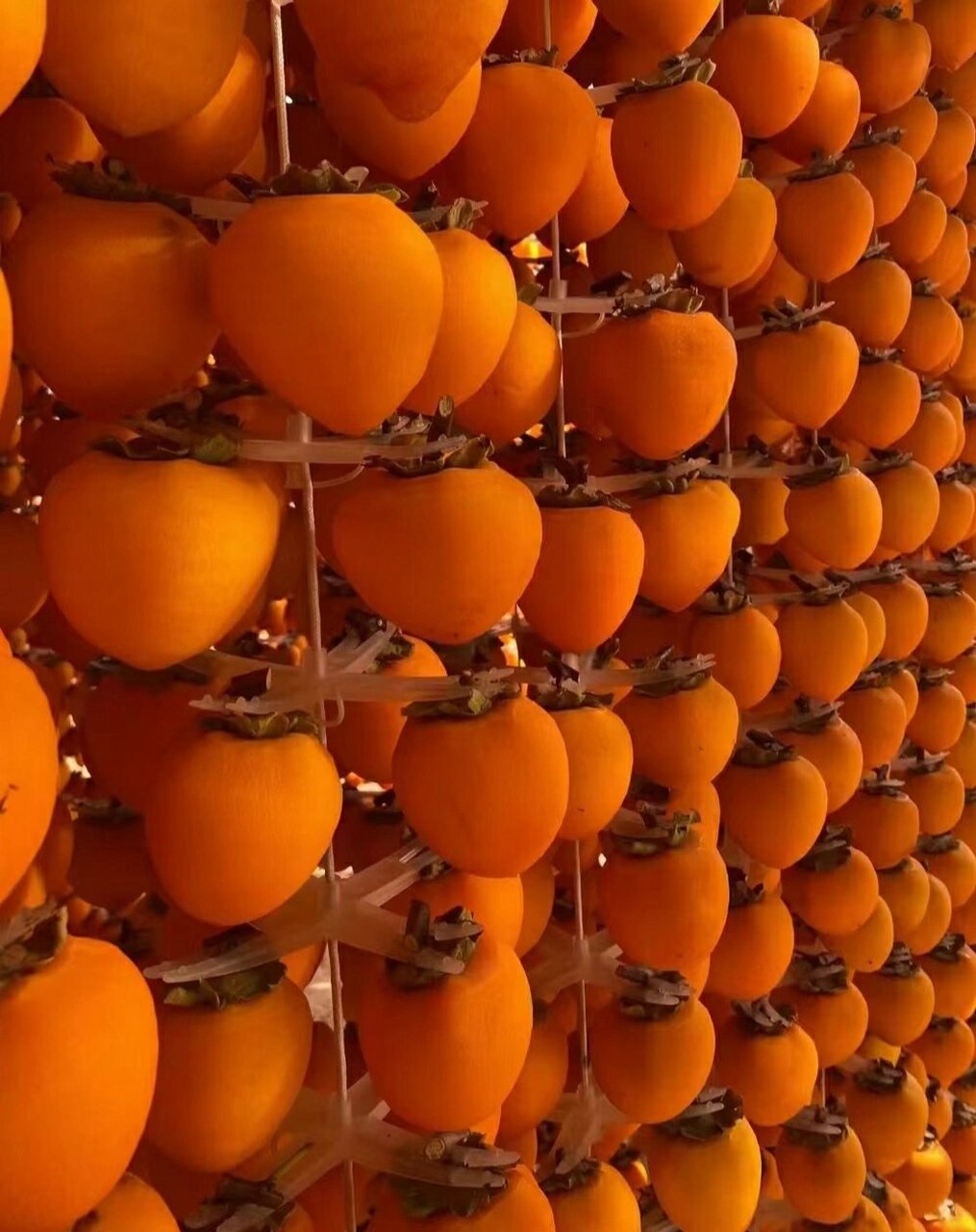 最好吃的柿饼-陕西富平柿饼来了 富平曹村柿饼 富平柿饼一个农民二十