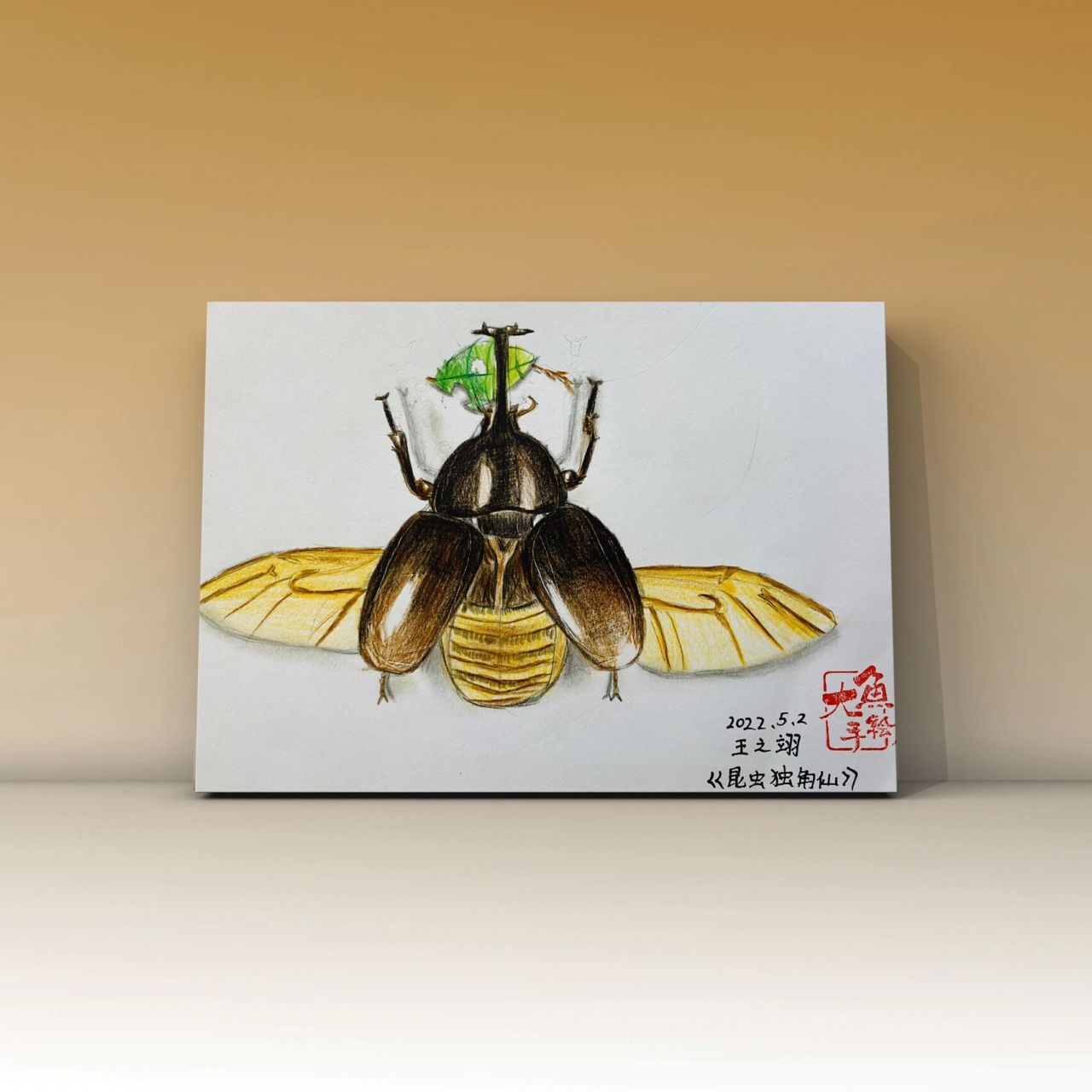 少儿美术——彩铅《独角仙》 独角大仙在孩子们的手下变得栩栩如生 各