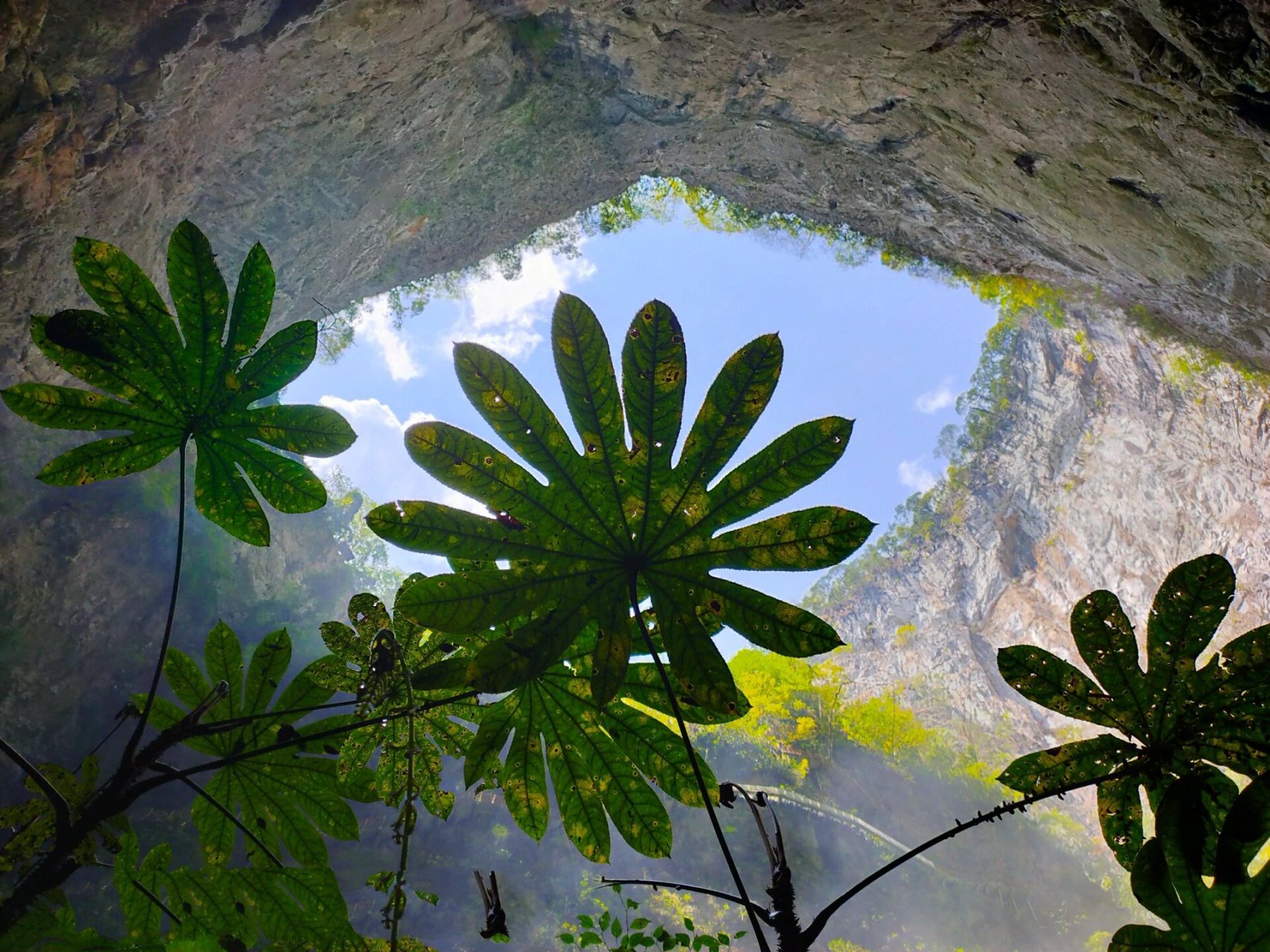 世界天坑深度排名第五 白洞天坑 baidong tiankeng 白洞天坑深度312米