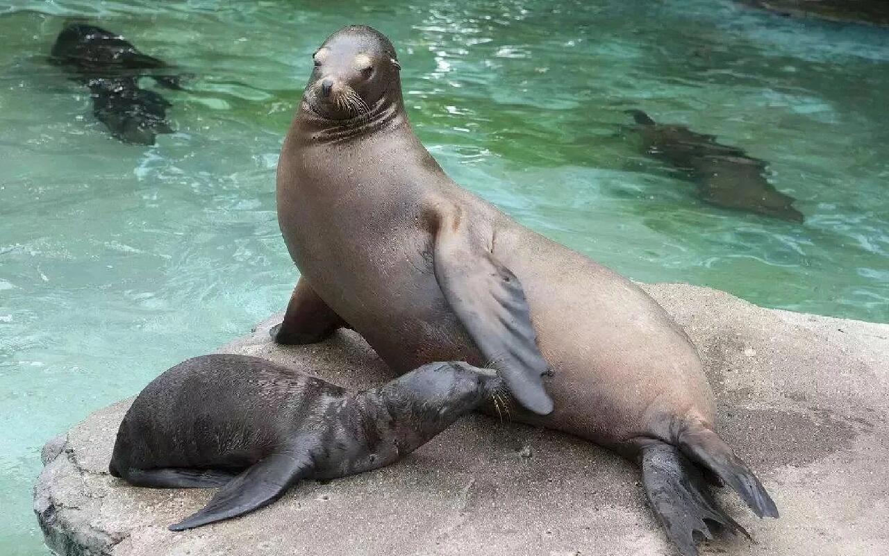 陪娃一起看👀大海