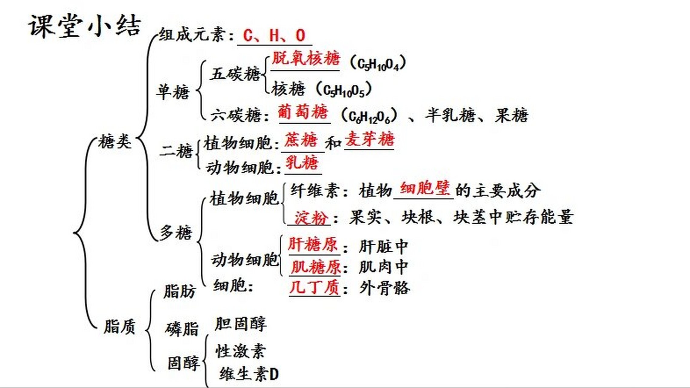 五碳糖结构图碳的序号图片