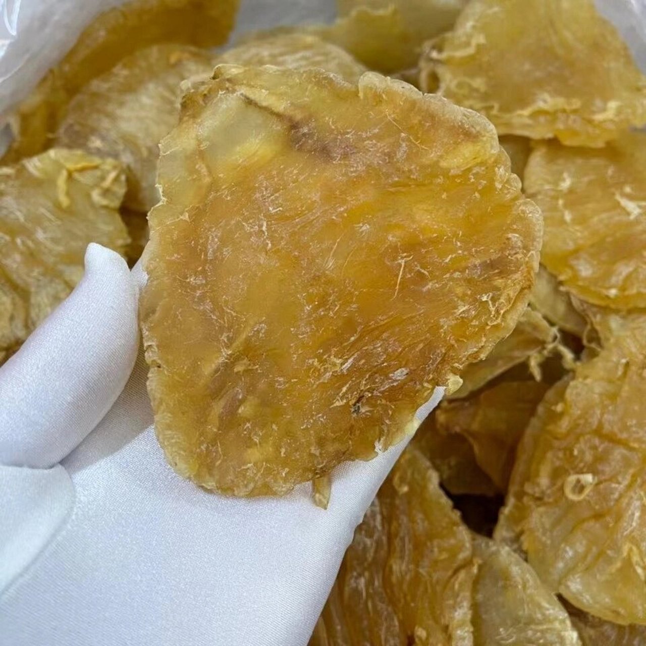 足干年份老货,吃老胶一斤顶三斤新胶 超级漂亮双芽鱼胶,又叫安南双芽