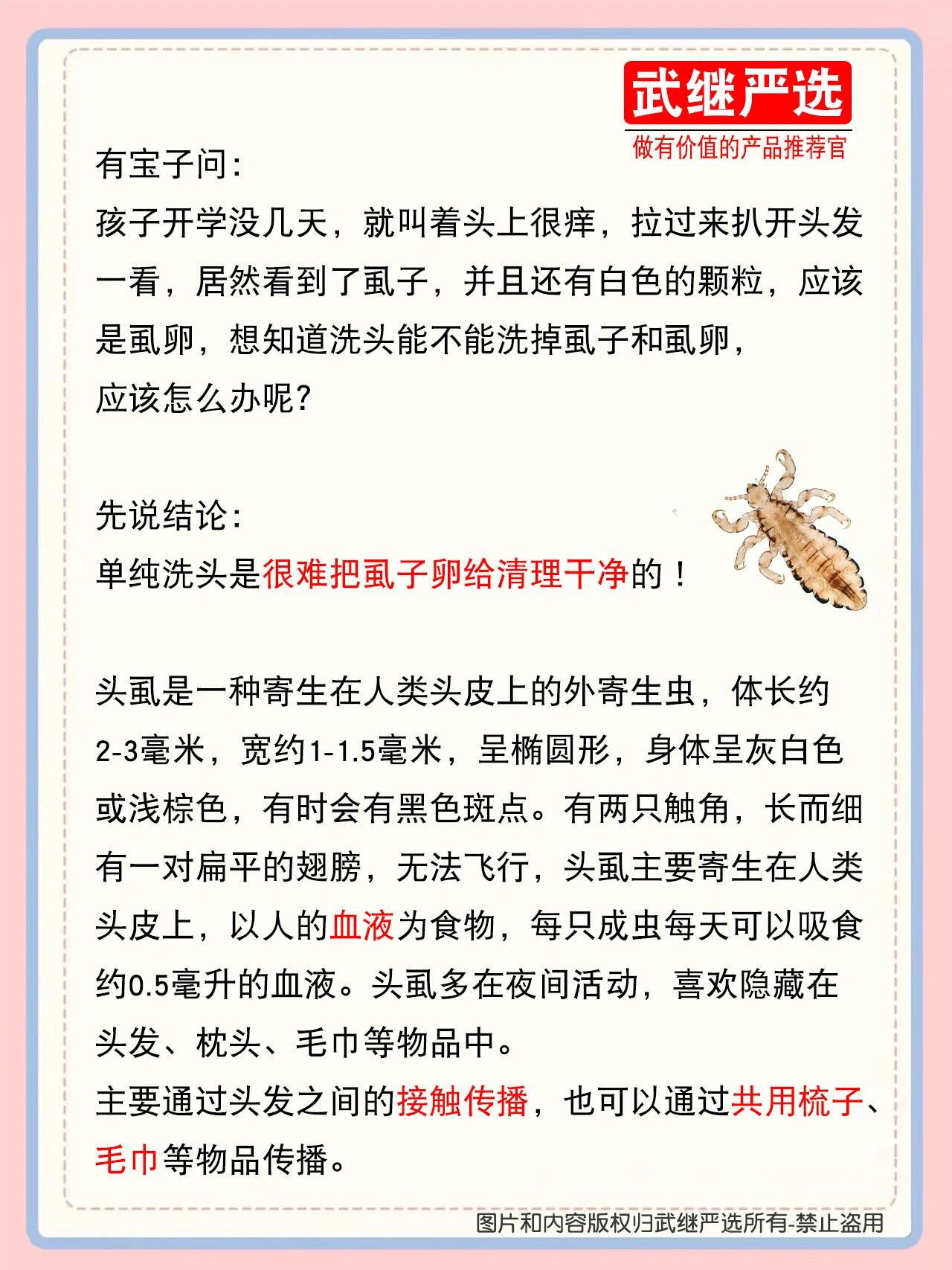 虱子怎么除掉干净图片