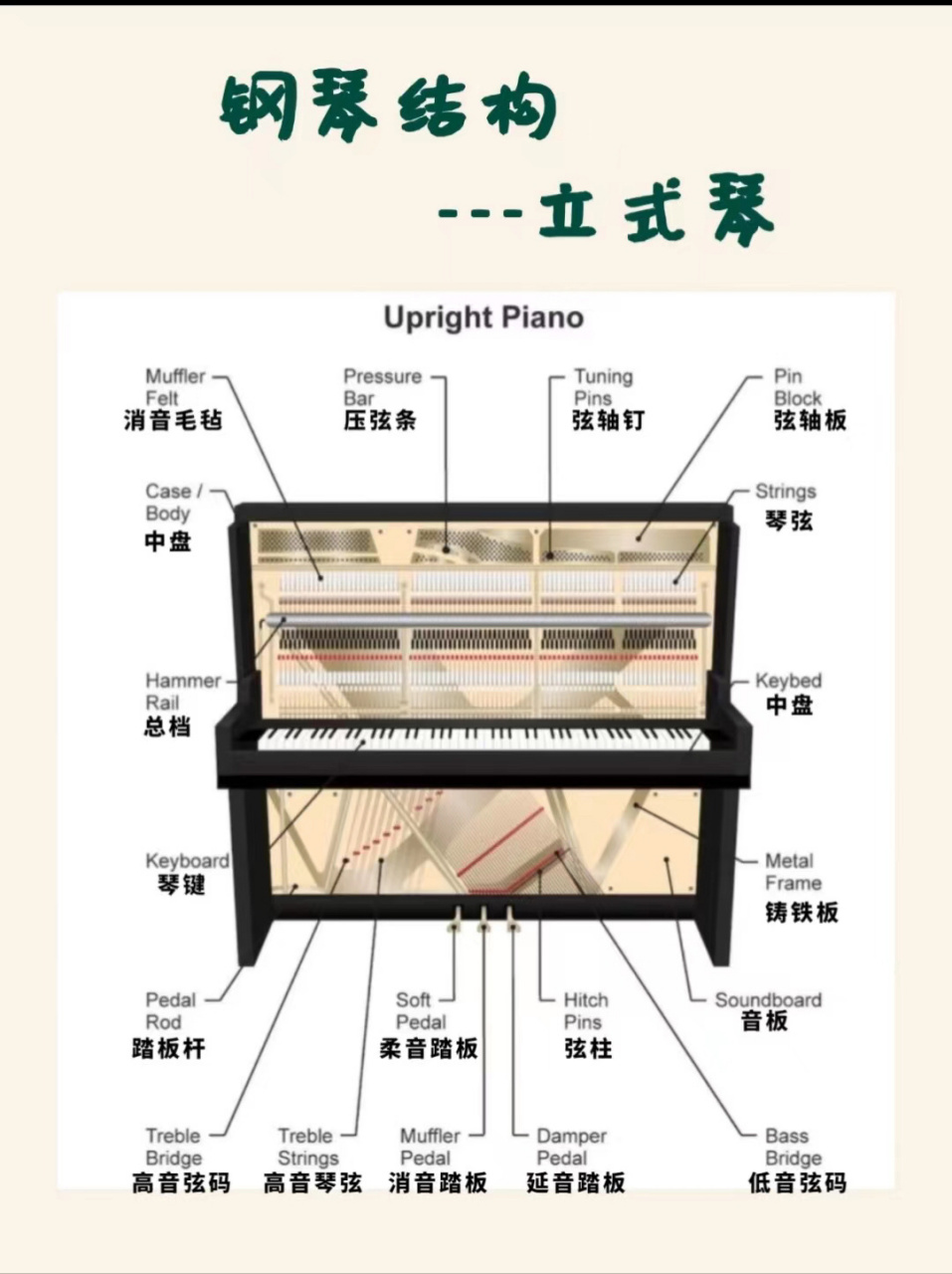 钢琴内部结构"大揭密"!
