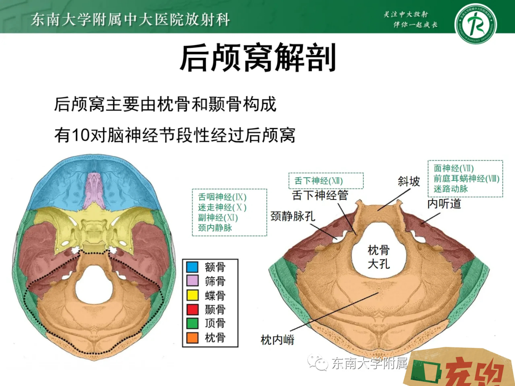 枕大孔前外侧有两个叫舌下神经管.