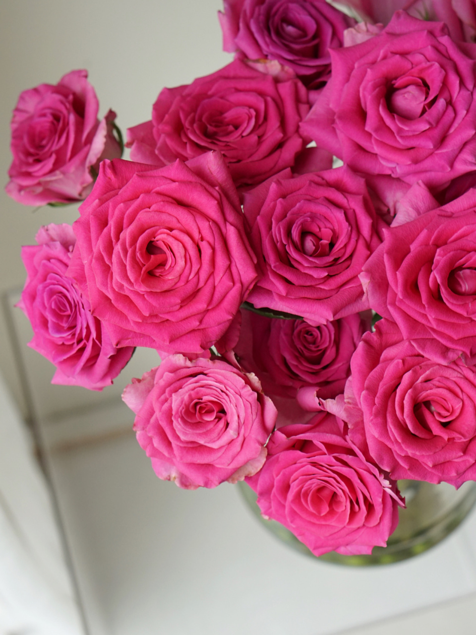 种草兰蔻"御用玫瑰"pink floyd弗洛伊德 兰蔻广告的玫瑰真好看,于是