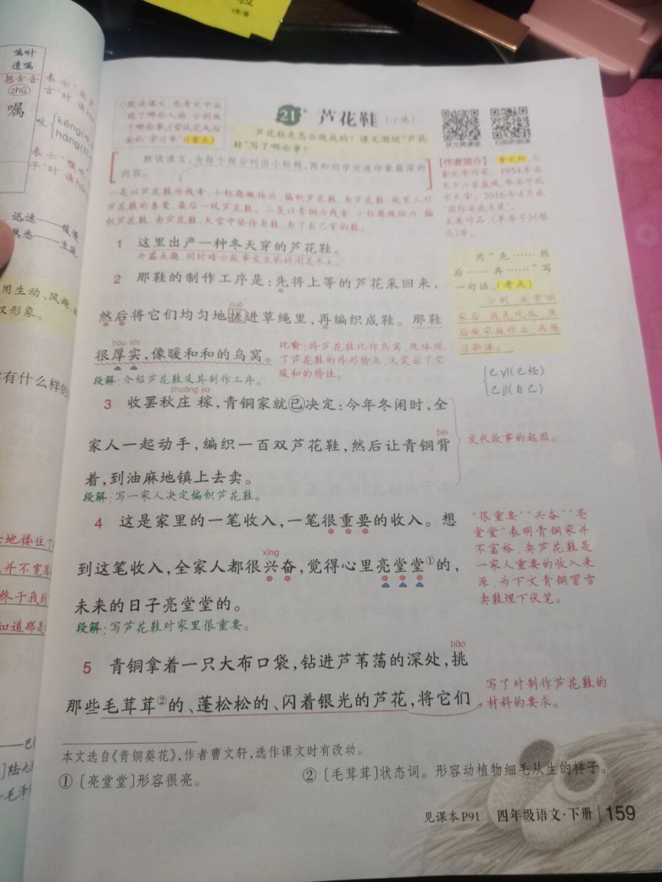 四下语文21《芦花鞋》 #语文笔记# #小学语文# #四下语文# 第六单元21