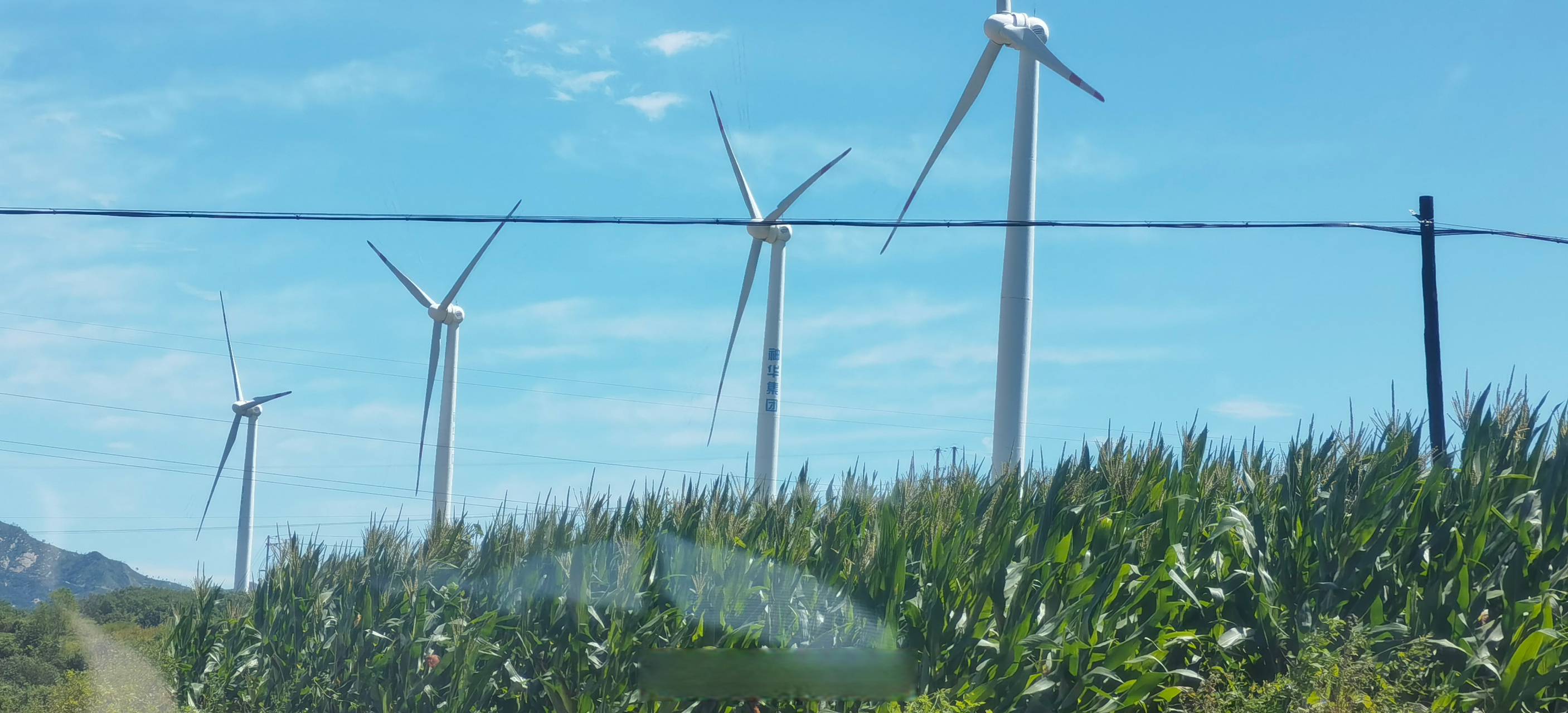 威海天气#【还得热两天……】威海市区:今天白天到夜间,多云转阴壹滗