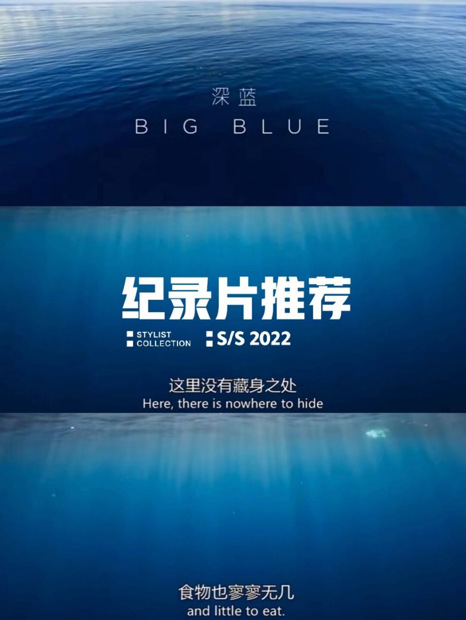 纪录片《深蓝》豆瓣评分9.1,海底神秘世界 999999豆瓣评分9.