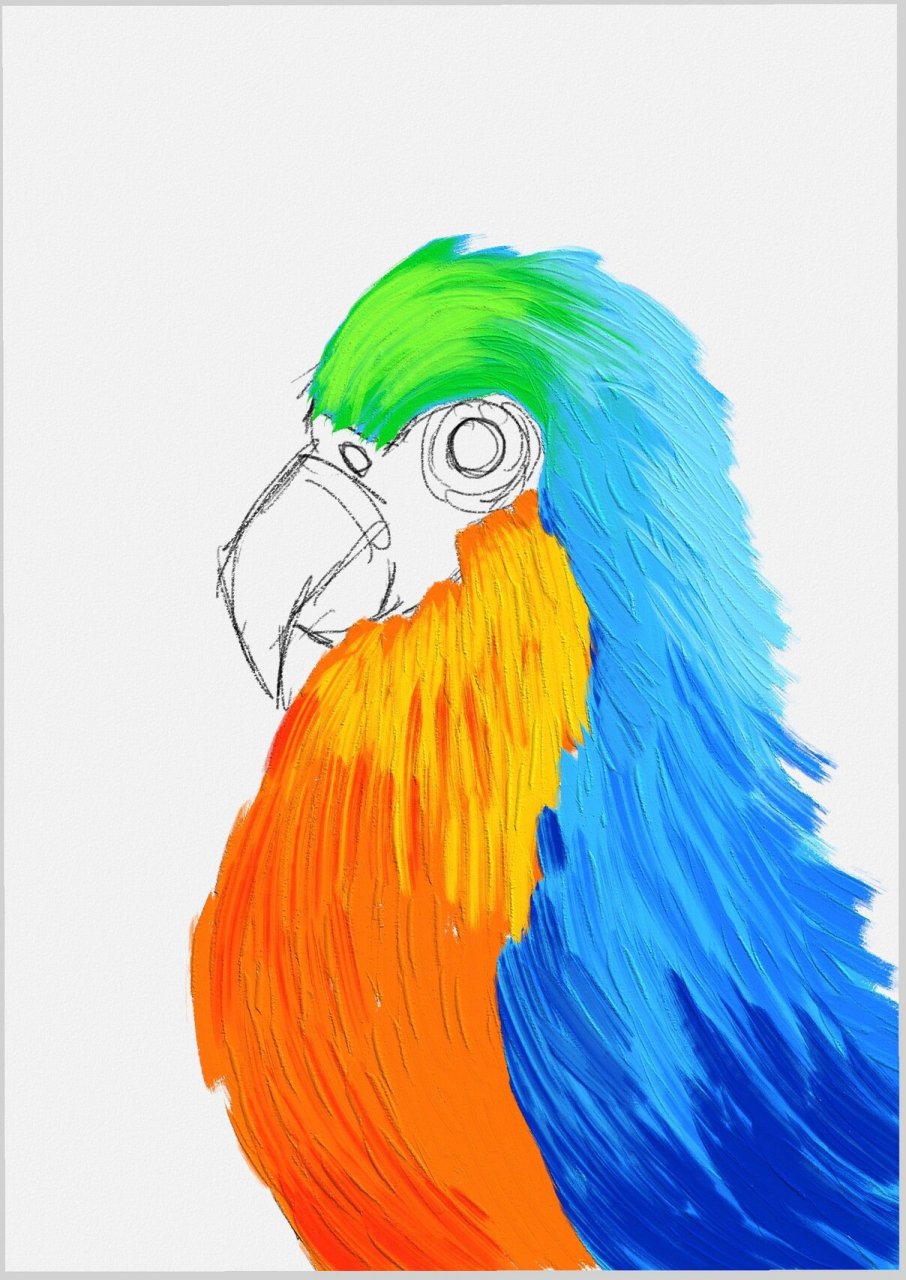 鹦鹉儿童丙烯画 创意儿童画